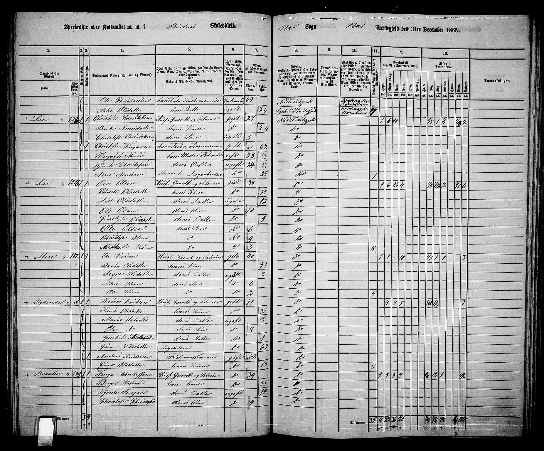 RA, 1865 census for Nes, 1865, p. 109