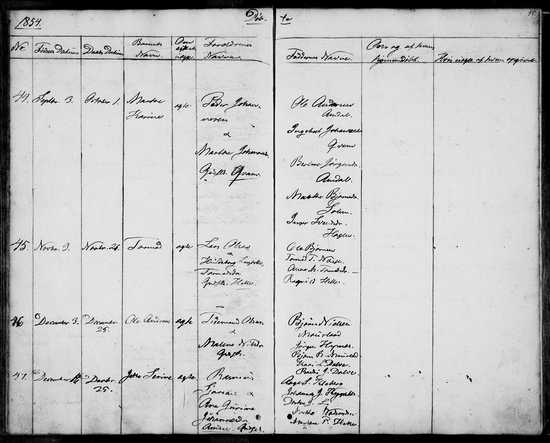 Nedstrand sokneprestkontor, SAST/A-101841/01/IV: Parish register (official) no. A 8, 1839-1860, p. 45