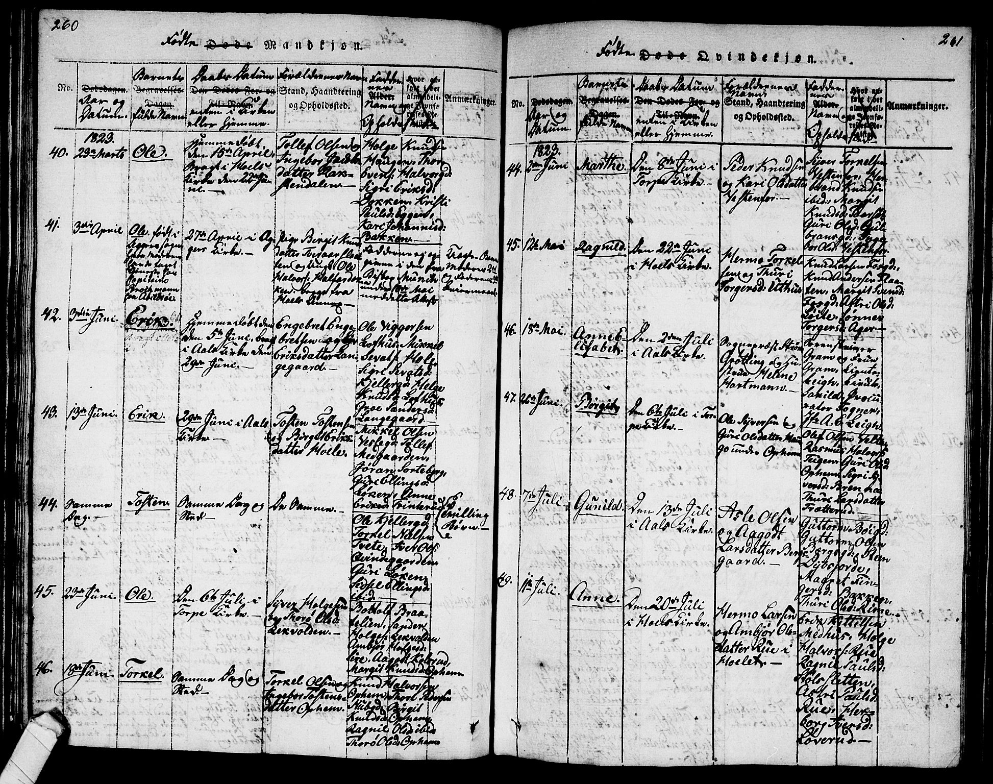 Ål kirkebøker, AV/SAKO-A-249/G/Ga/L0001: Parish register (copy) no. 1, 1815-1829, p. 260-261