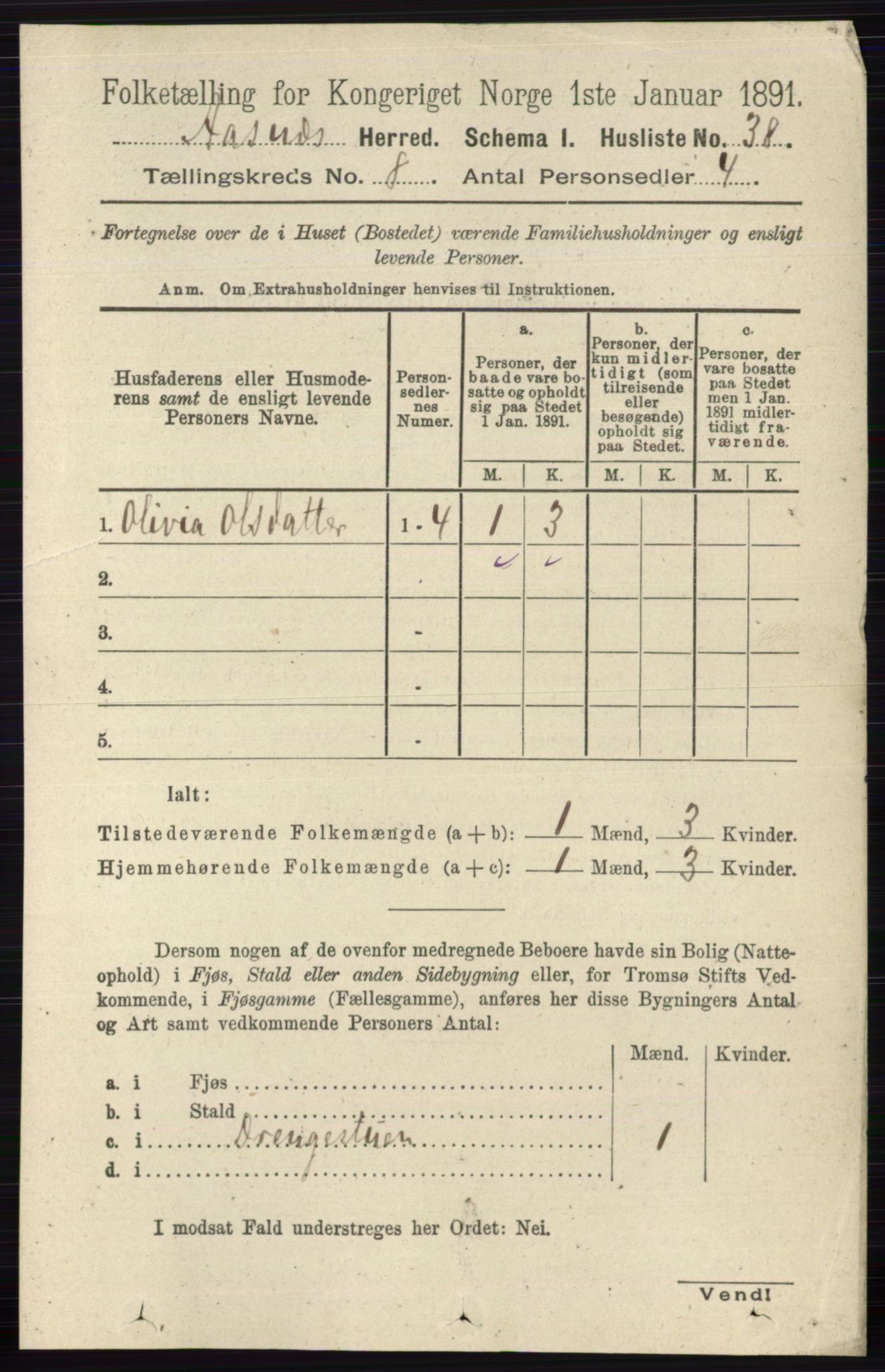 RA, 1891 census for 0425 Åsnes, 1891, p. 4159