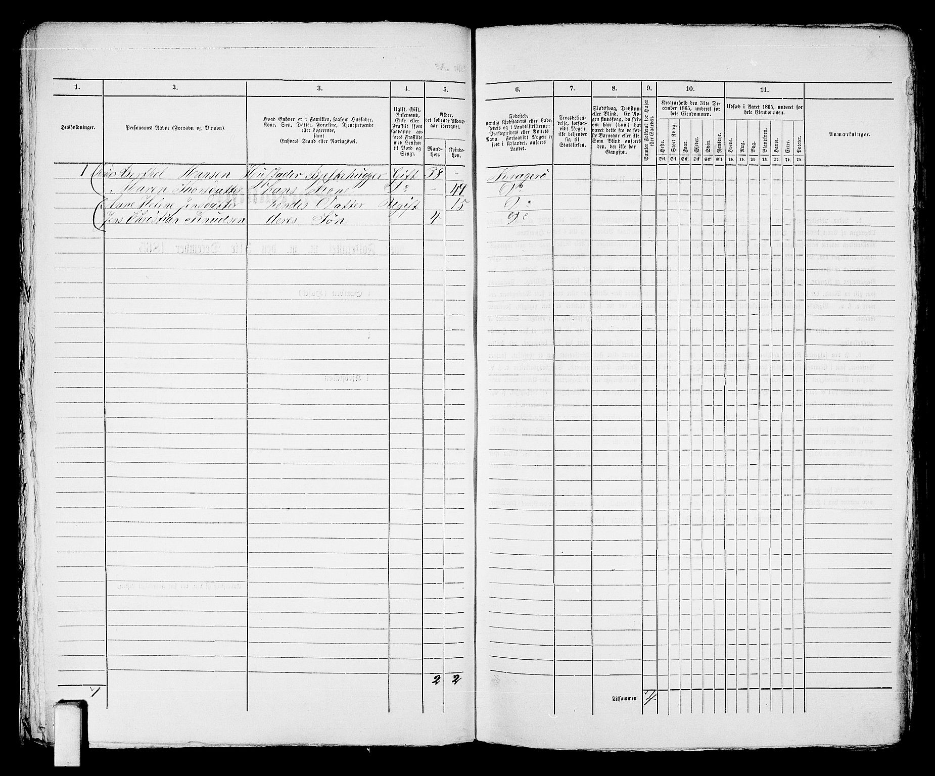 RA, 1865 census for Kragerø/Kragerø, 1865, p. 40