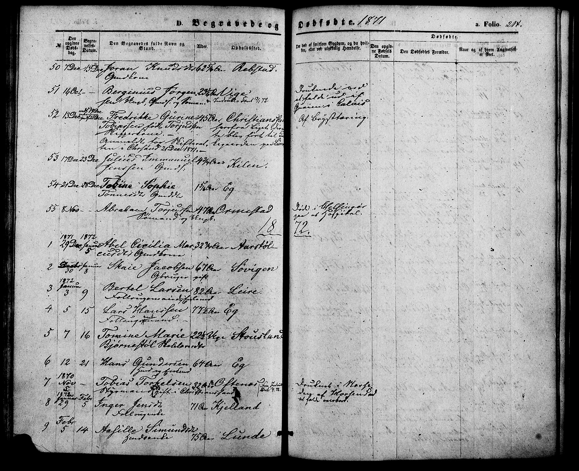 Søgne sokneprestkontor, SAK/1111-0037/F/Fa/Fab/L0011: Parish register (official) no. A 11, 1869-1879, p. 214