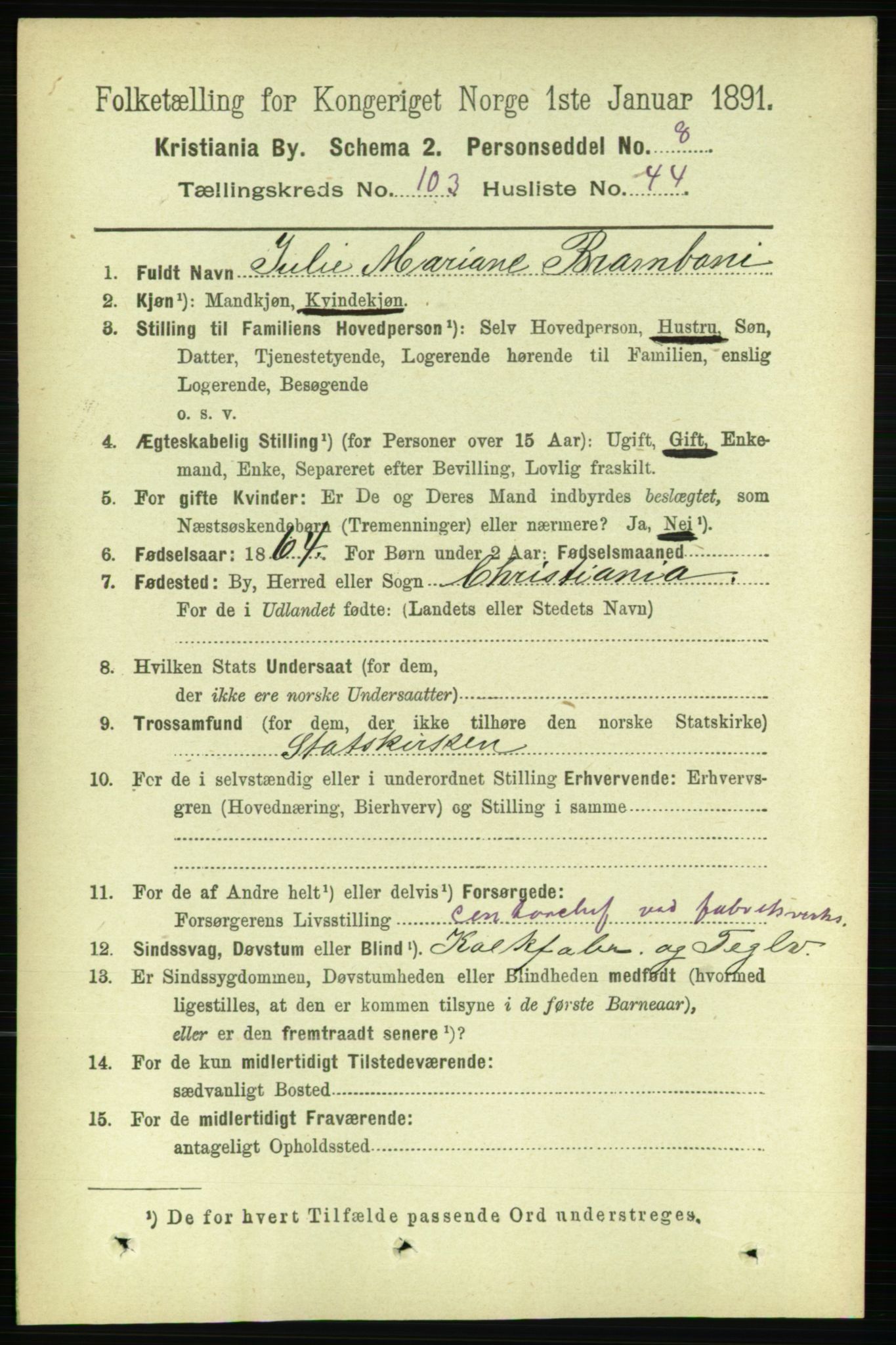 RA, 1891 census for 0301 Kristiania, 1891, p. 51899