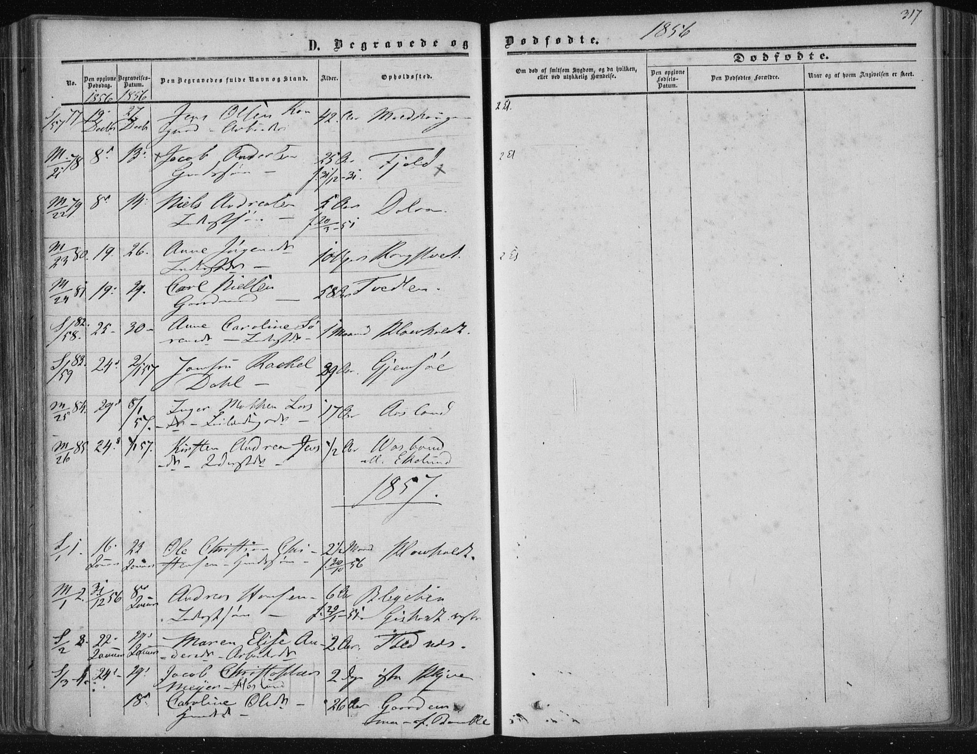 Solum kirkebøker, SAKO/A-306/F/Fa/L0007: Parish register (official) no. I 7, 1856-1864, p. 317