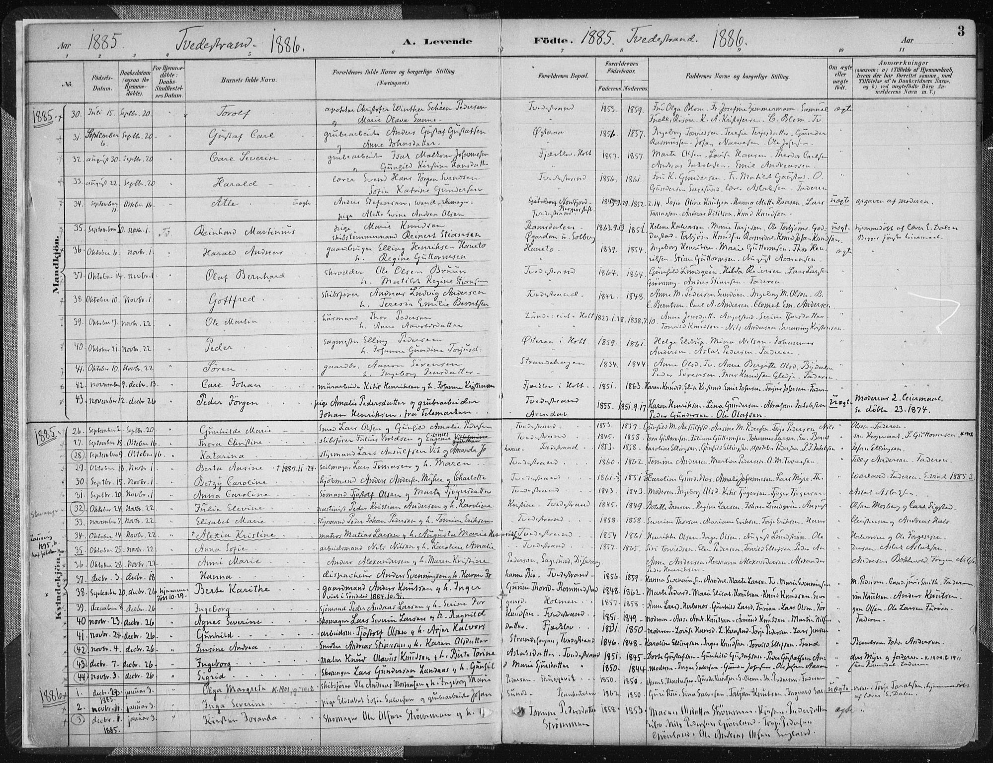 Tvedestrand sokneprestkontor, SAK/1111-0042/F/Fa/L0001: Parish register (official) no. A 1, 1885-1916, p. 3