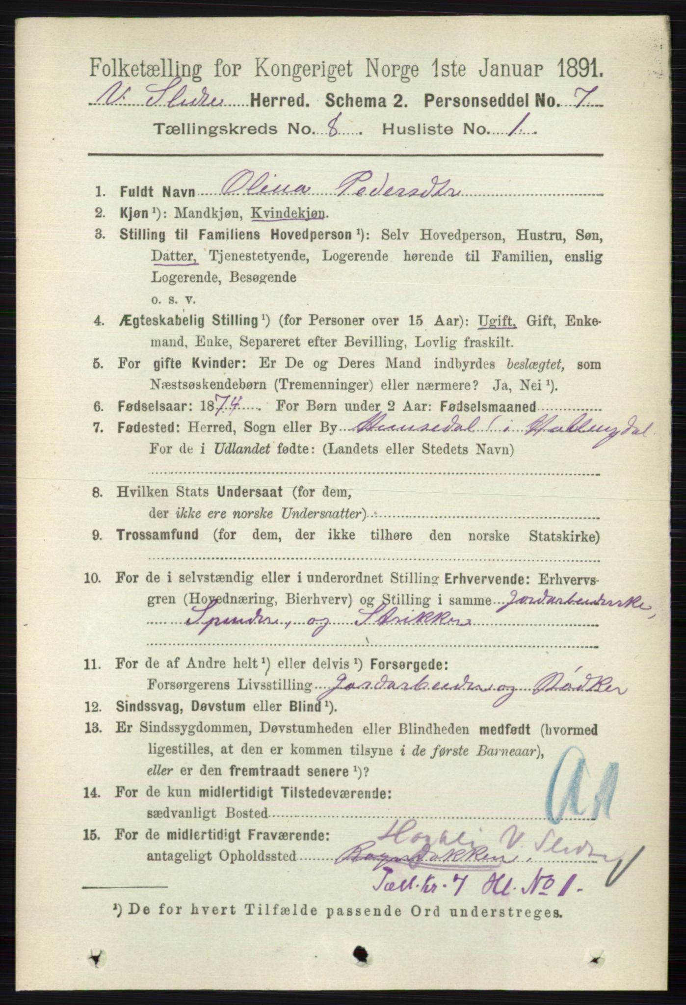 RA, 1891 census for 0543 Vestre Slidre, 1891, p. 2990