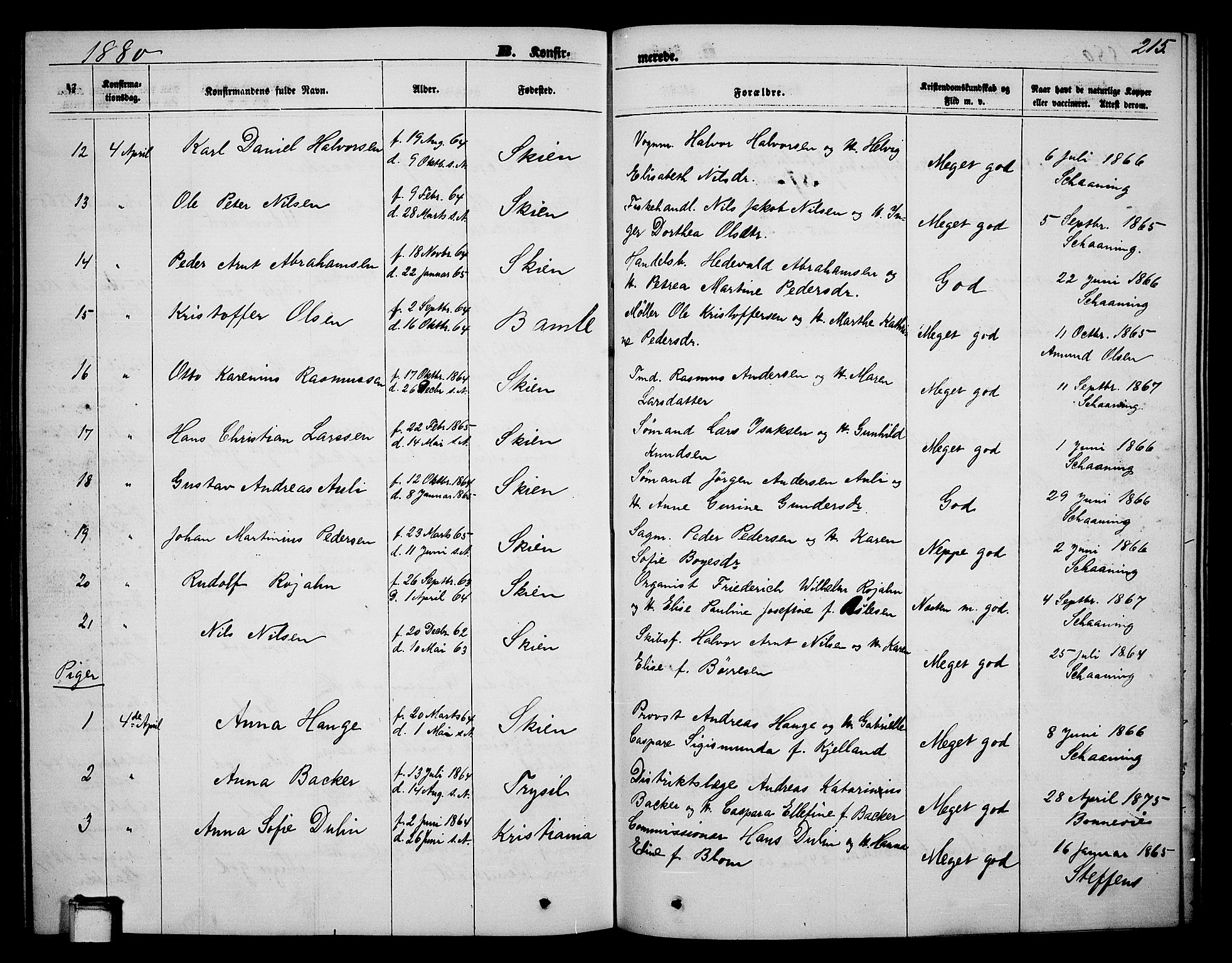 Skien kirkebøker, SAKO/A-302/G/Ga/L0005: Parish register (copy) no. 5, 1868-1880, p. 215