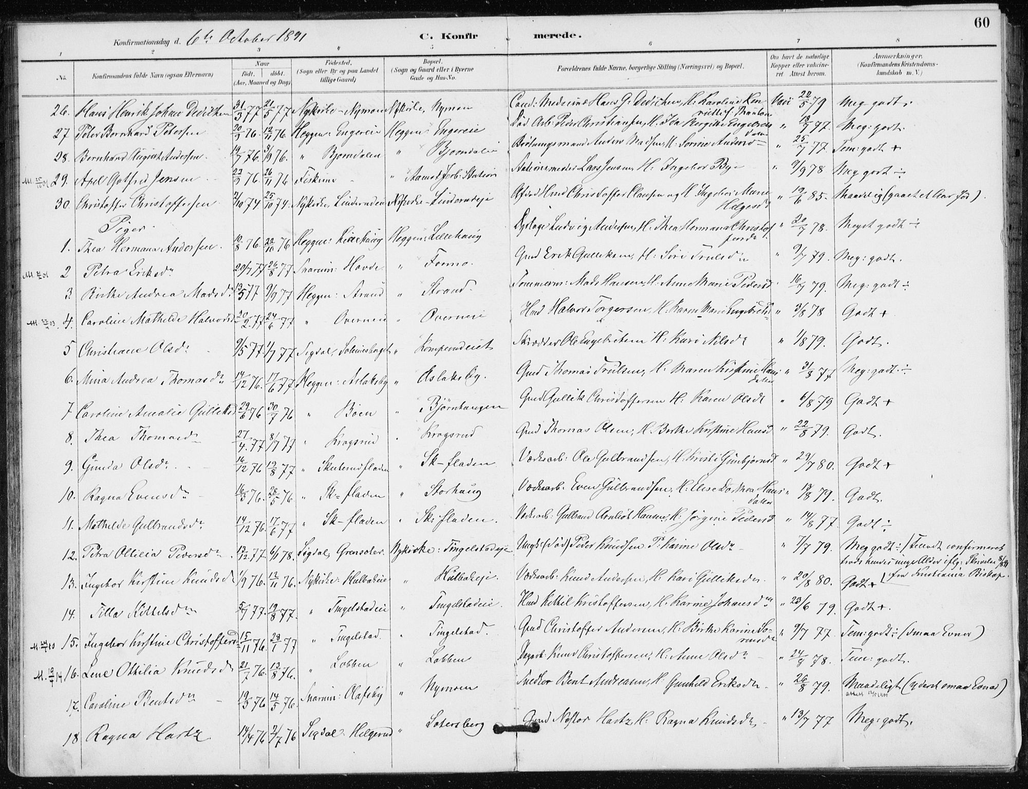 Modum kirkebøker, AV/SAKO-A-234/F/Fa/L0016: Parish register (official) no. 16, 1890-1899, p. 60