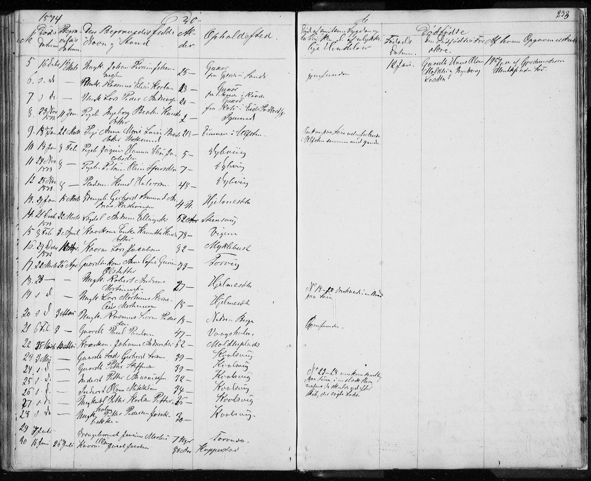 Ministerialprotokoller, klokkerbøker og fødselsregistre - Møre og Romsdal, AV/SAT-A-1454/507/L0079: Parish register (copy) no. 507C02, 1854-1877, p. 233