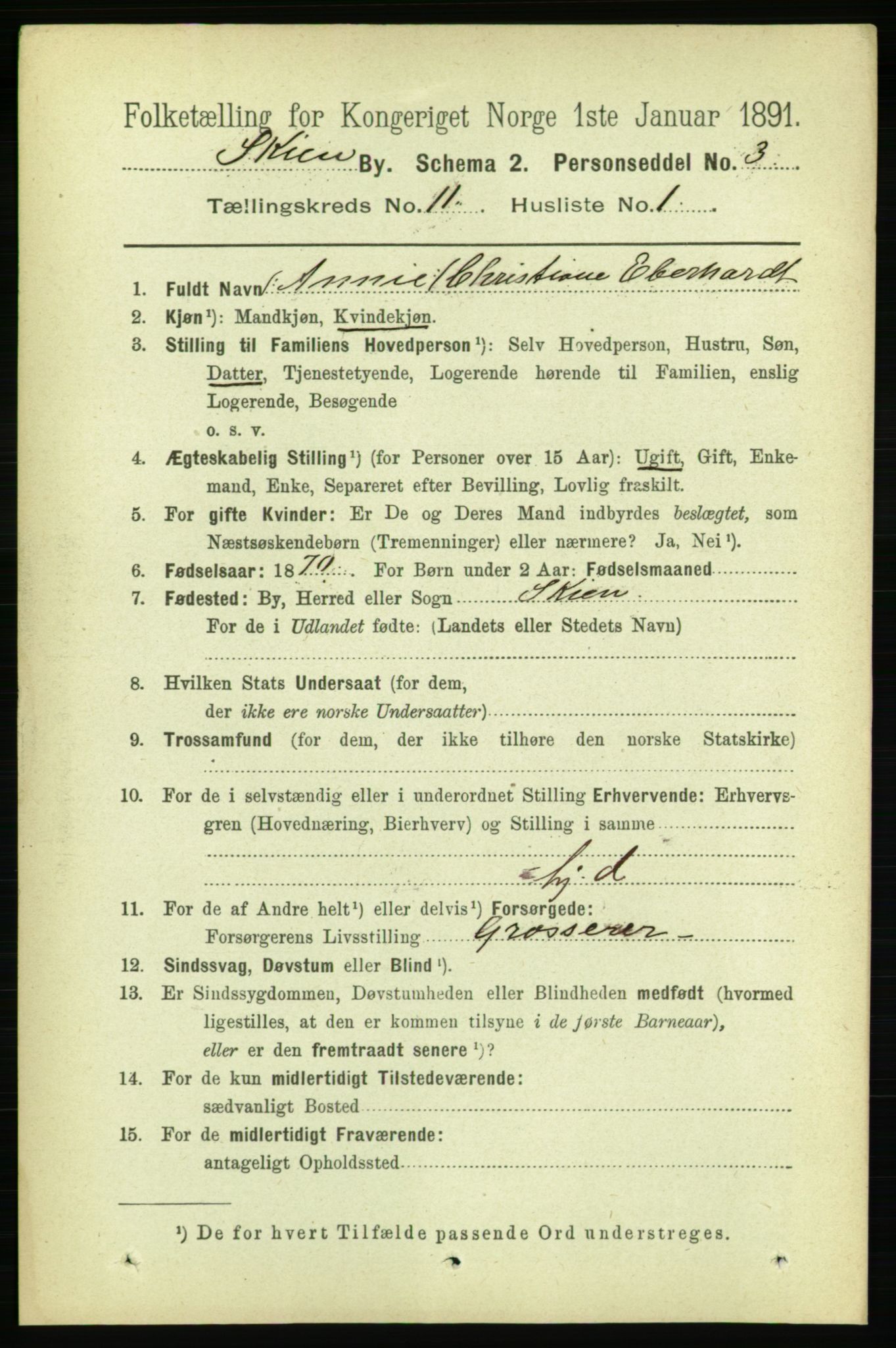 RA, 1891 census for 0806 Skien, 1891, p. 3856