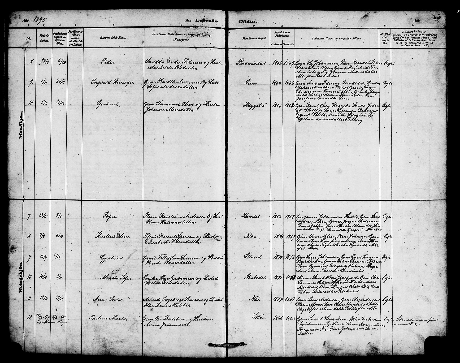 Hyllestad sokneprestembete, SAB/A-80401: Parish register (copy) no. B 2, 1889-1915, p. 15