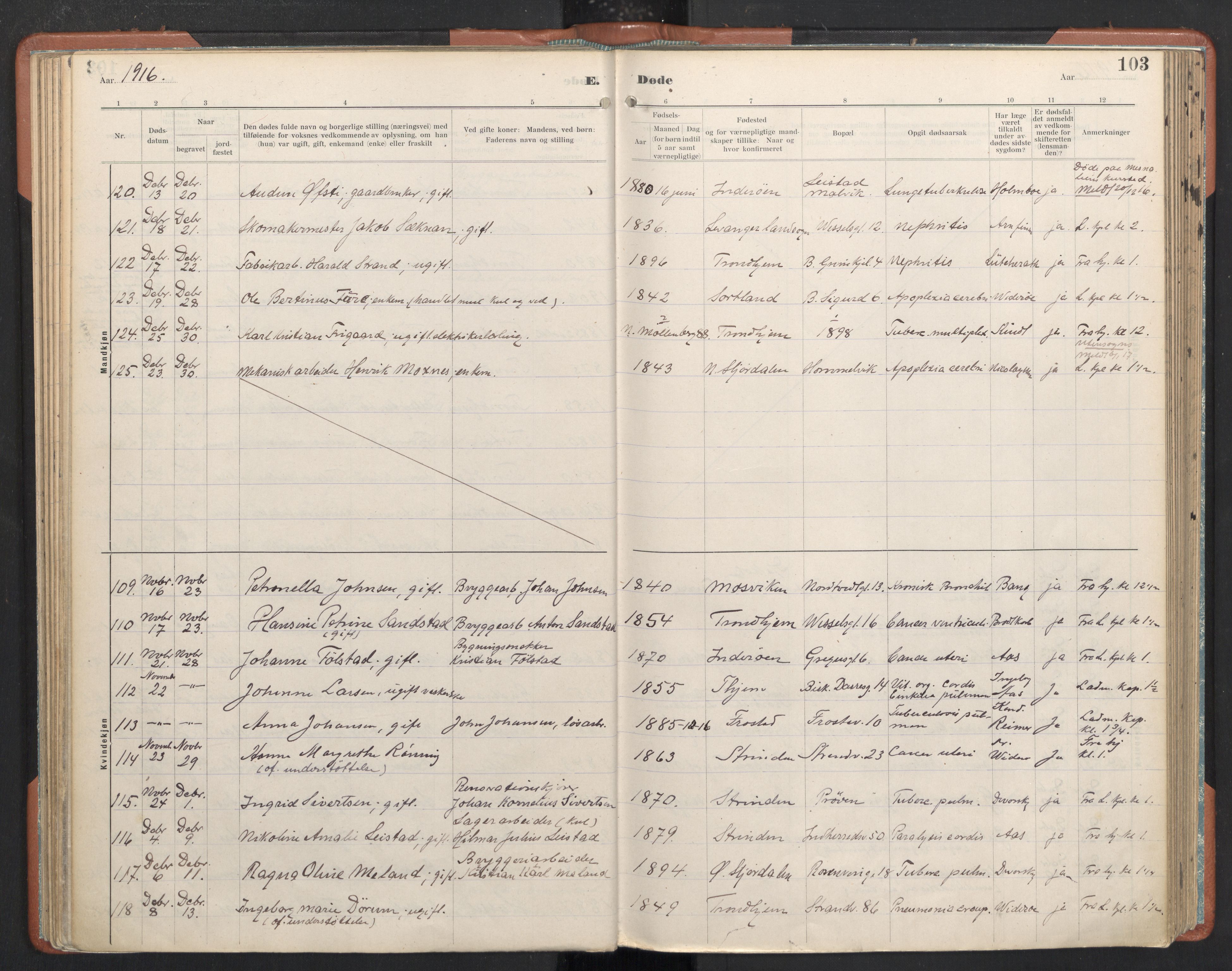 Ministerialprotokoller, klokkerbøker og fødselsregistre - Sør-Trøndelag, AV/SAT-A-1456/605/L0245: Parish register (official) no. 605A07, 1916-1938, p. 103