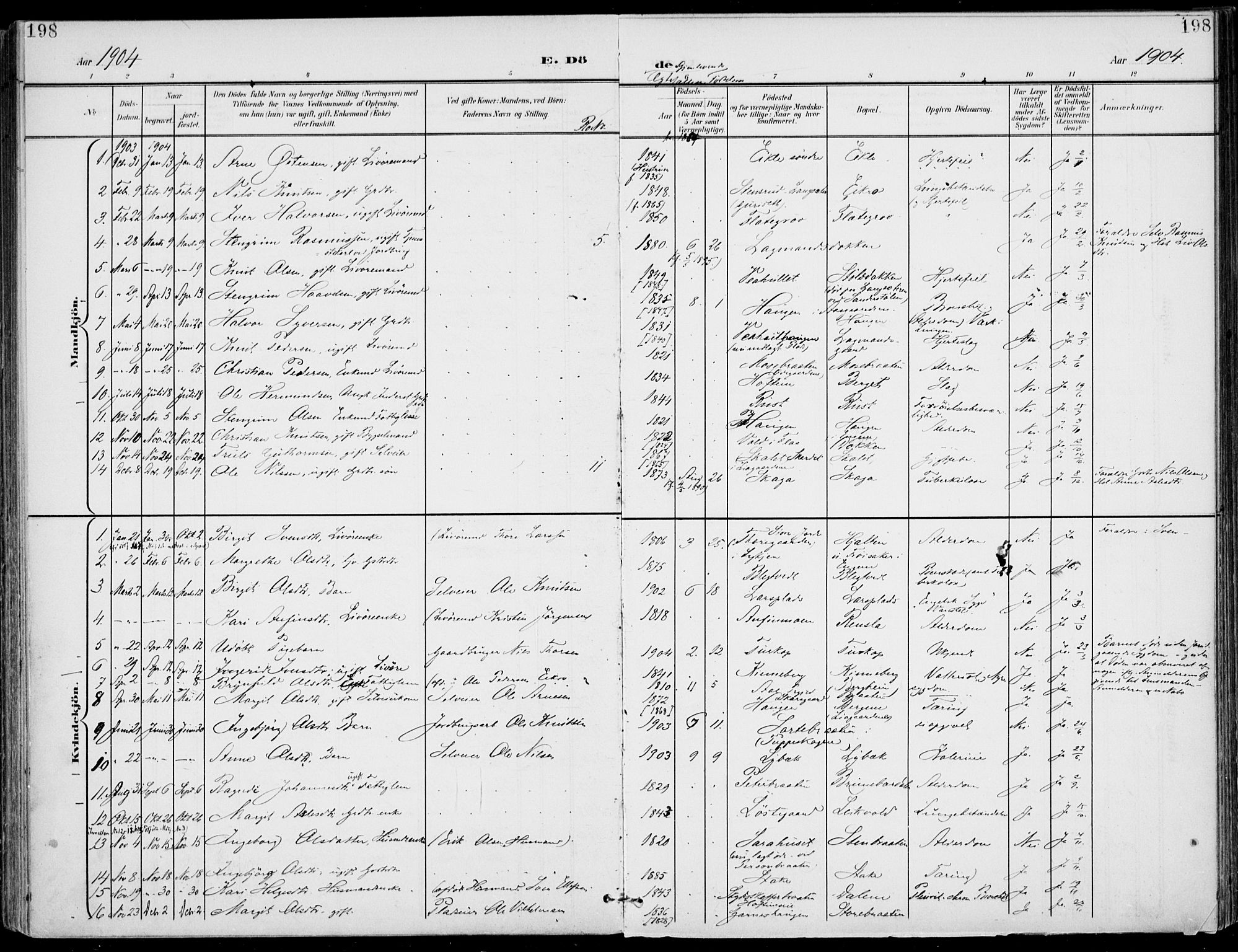 Gol kirkebøker, SAKO/A-226/F/Fa/L0006: Parish register (official) no. I 6, 1901-1918, p. 198