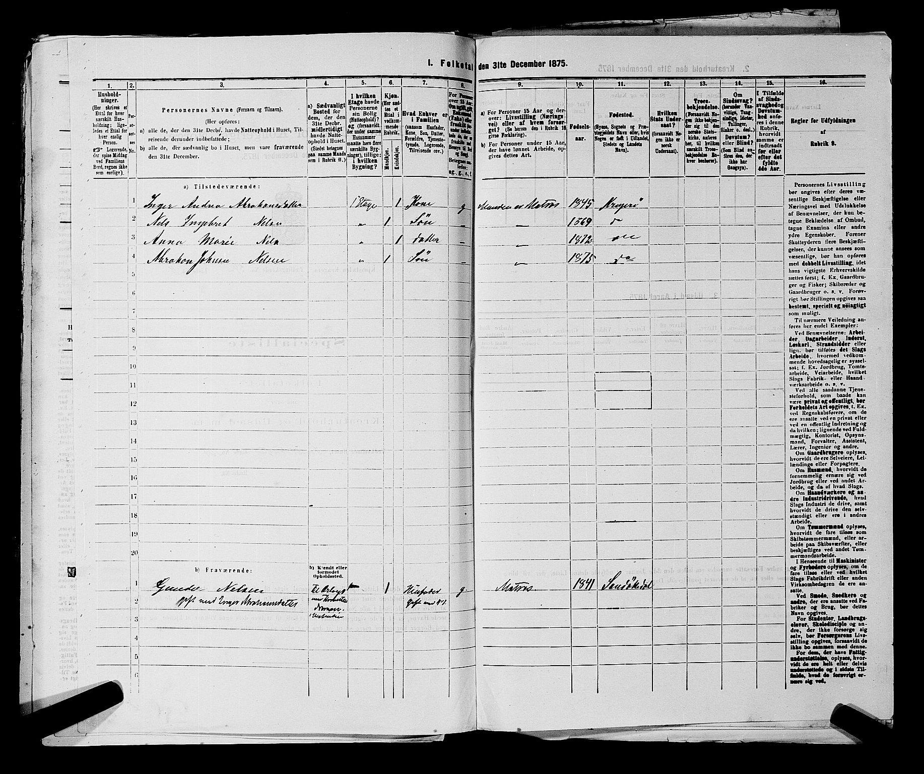 SAKO, 1875 census for 0801P Kragerø, 1875, p. 1206