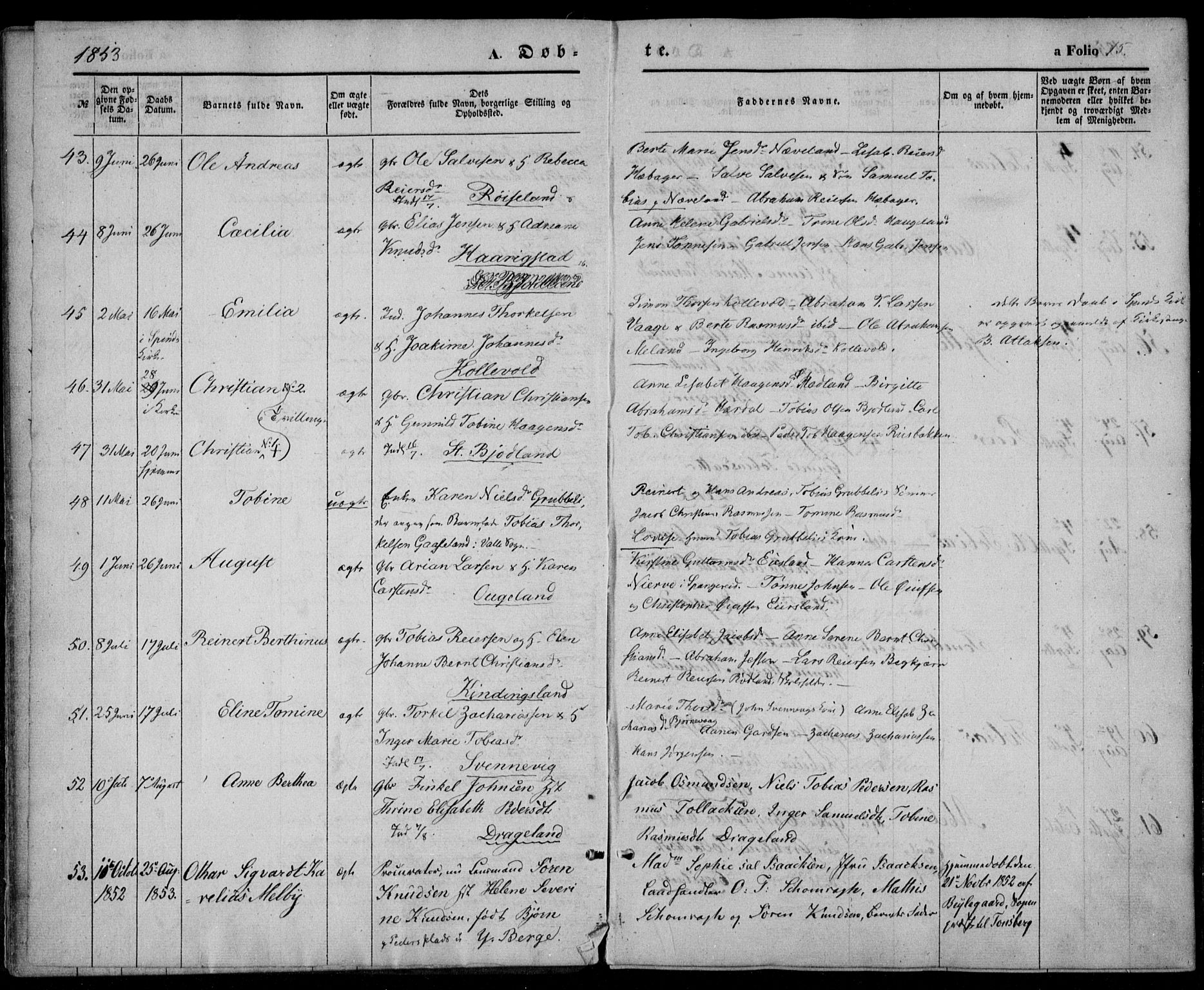 Lyngdal sokneprestkontor, AV/SAK-1111-0029/F/Fa/Fac/L0009: Parish register (official) no. A 9, 1852-1864, p. 15