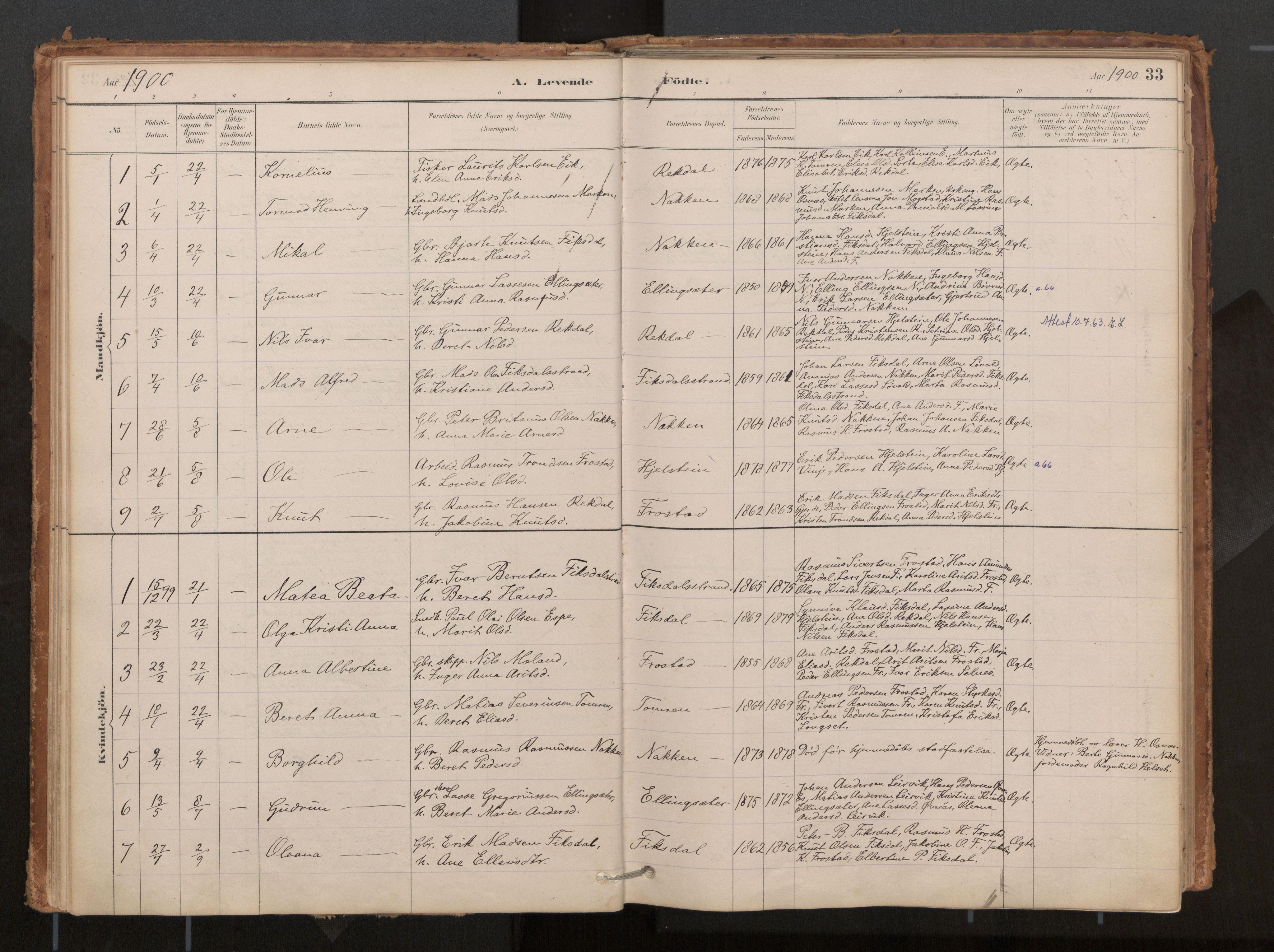 Ministerialprotokoller, klokkerbøker og fødselsregistre - Møre og Romsdal, AV/SAT-A-1454/540/L0540a: Parish register (official) no. 540A02, 1884-1908, p. 33