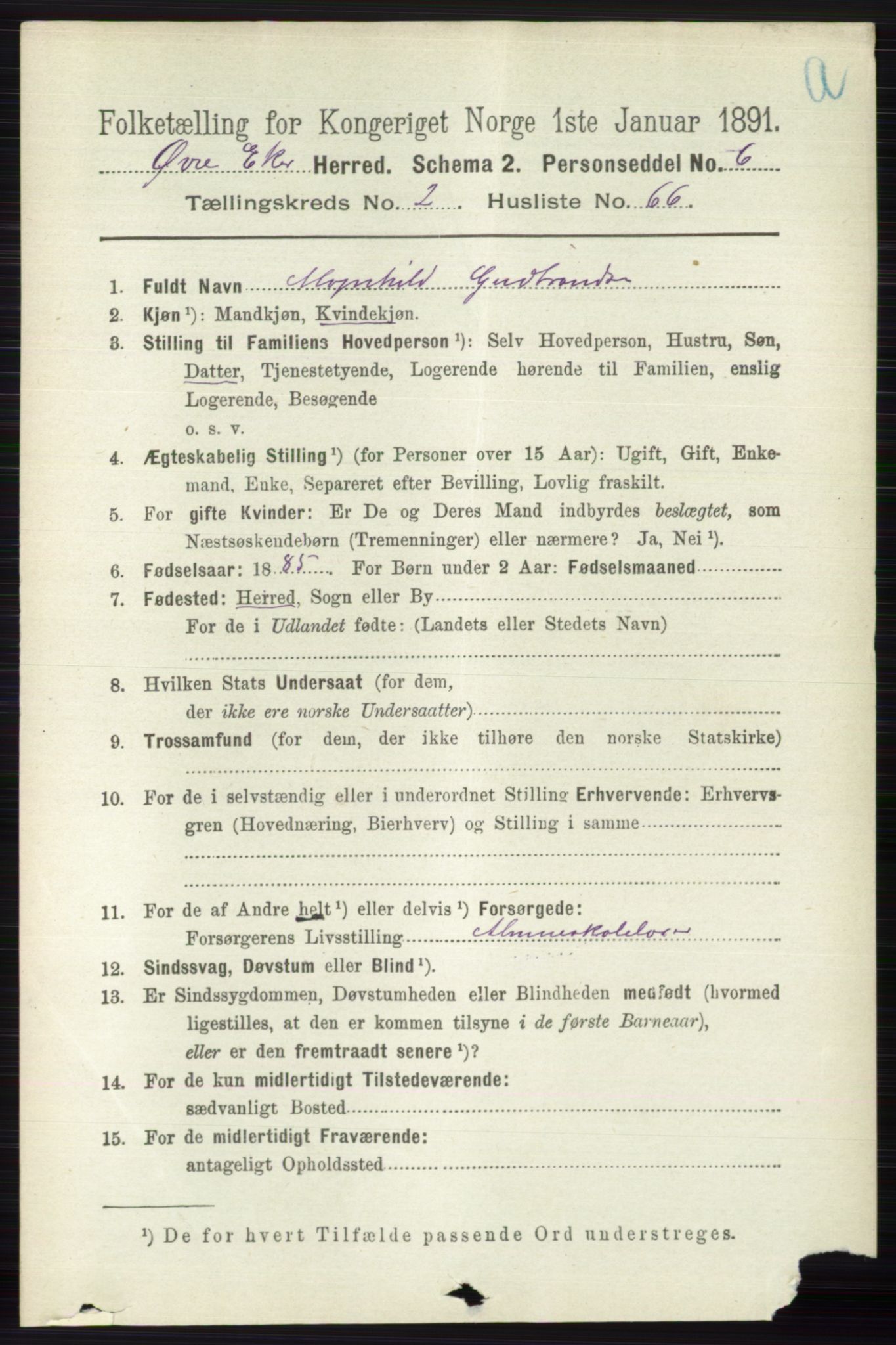 RA, 1891 census for 0624 Øvre Eiker, 1891, p. 919