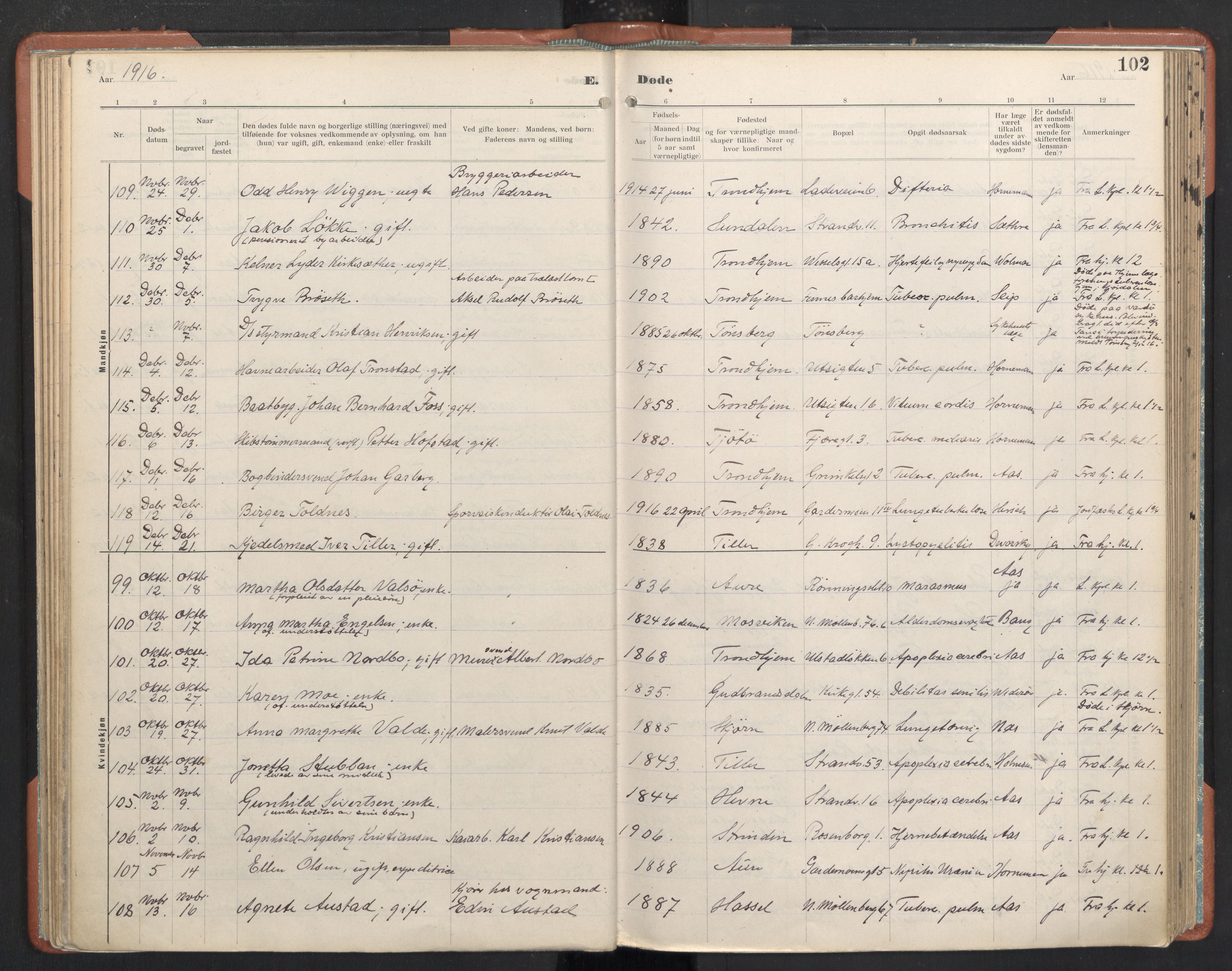 Ministerialprotokoller, klokkerbøker og fødselsregistre - Sør-Trøndelag, SAT/A-1456/605/L0245: Parish register (official) no. 605A07, 1916-1938, p. 102