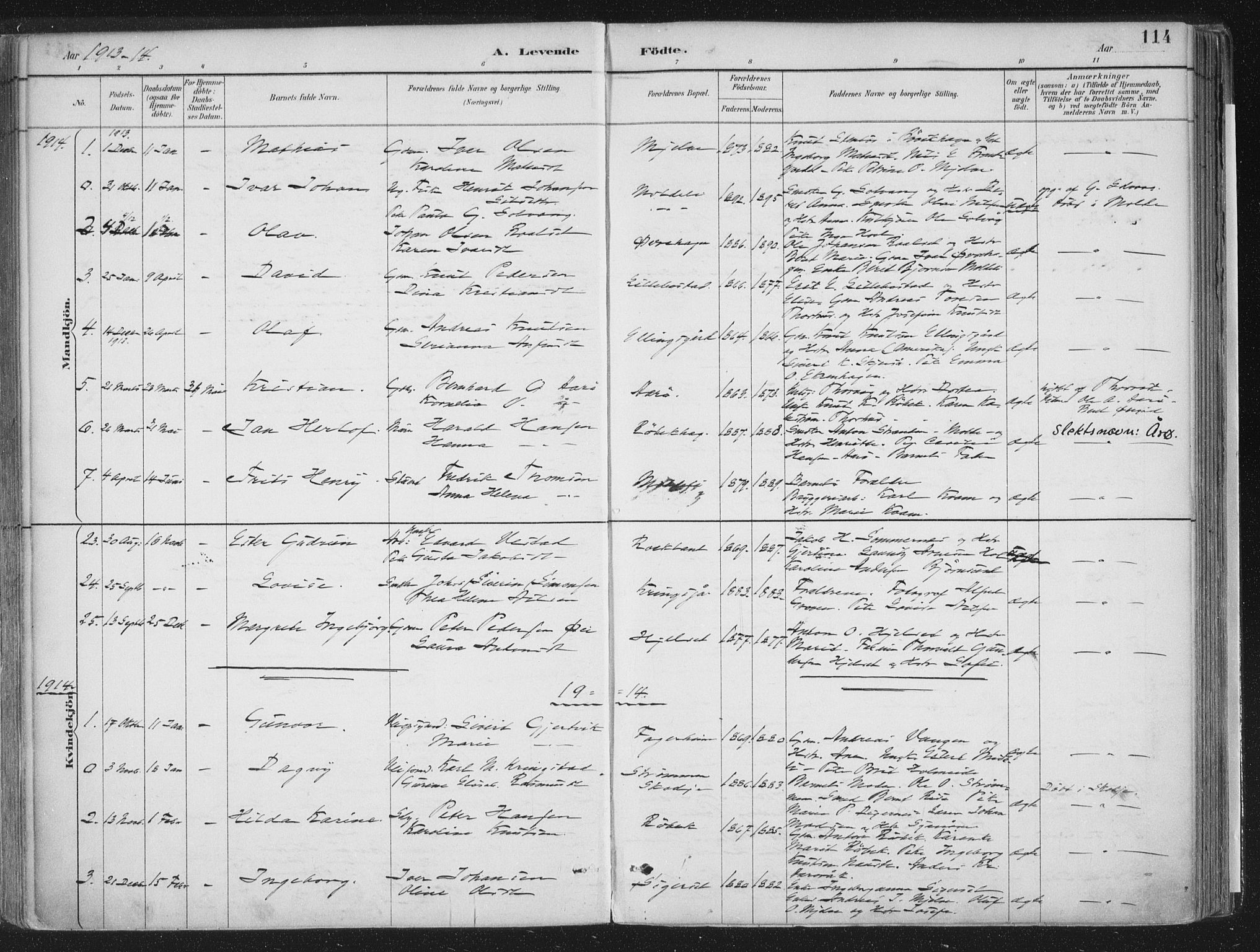 Ministerialprotokoller, klokkerbøker og fødselsregistre - Møre og Romsdal, AV/SAT-A-1454/555/L0658: Parish register (official) no. 555A09, 1887-1917, p. 114