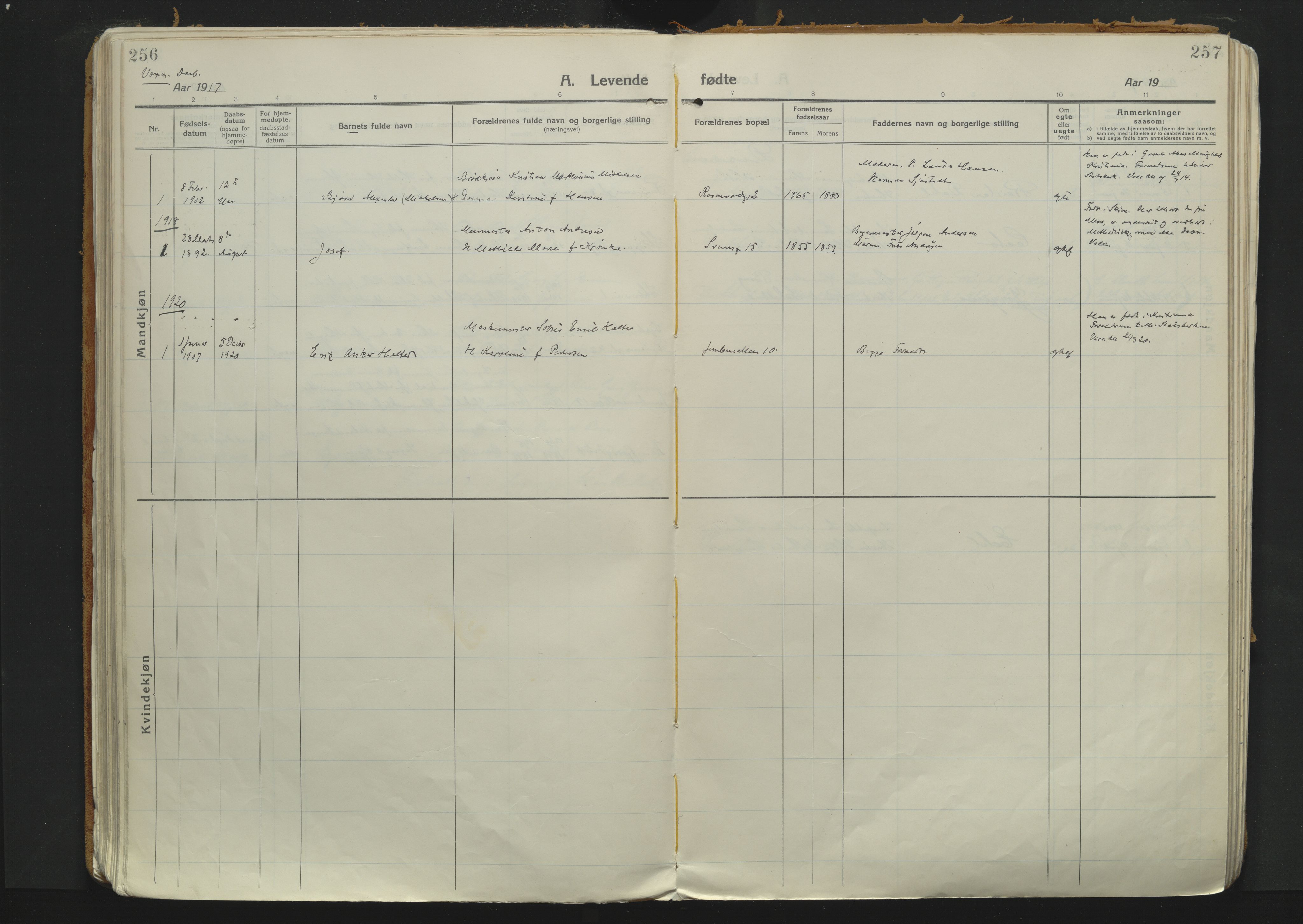 Sandefjord kirkebøker, SAKO/A-315/F/Fa/L0007: Parish register (official) no. 7, 1916-1930, p. 256-257