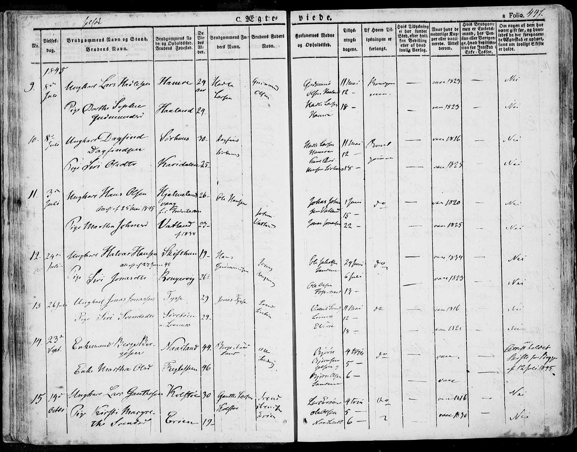 Jelsa sokneprestkontor, AV/SAST-A-101842/01/IV: Parish register (official) no. A 6.2, 1828-1853, p. 447