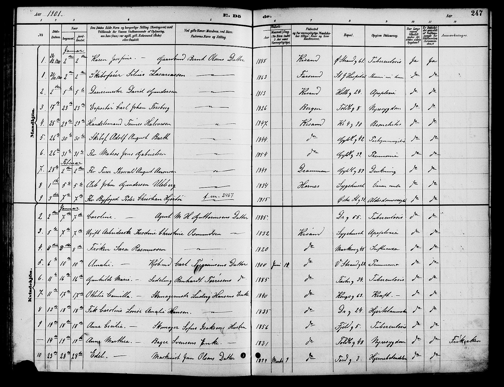 Kristiansand domprosti, SAK/1112-0006/F/Fb/L0017: Parish register (copy) no. B 17, 1893-1906, p. 247