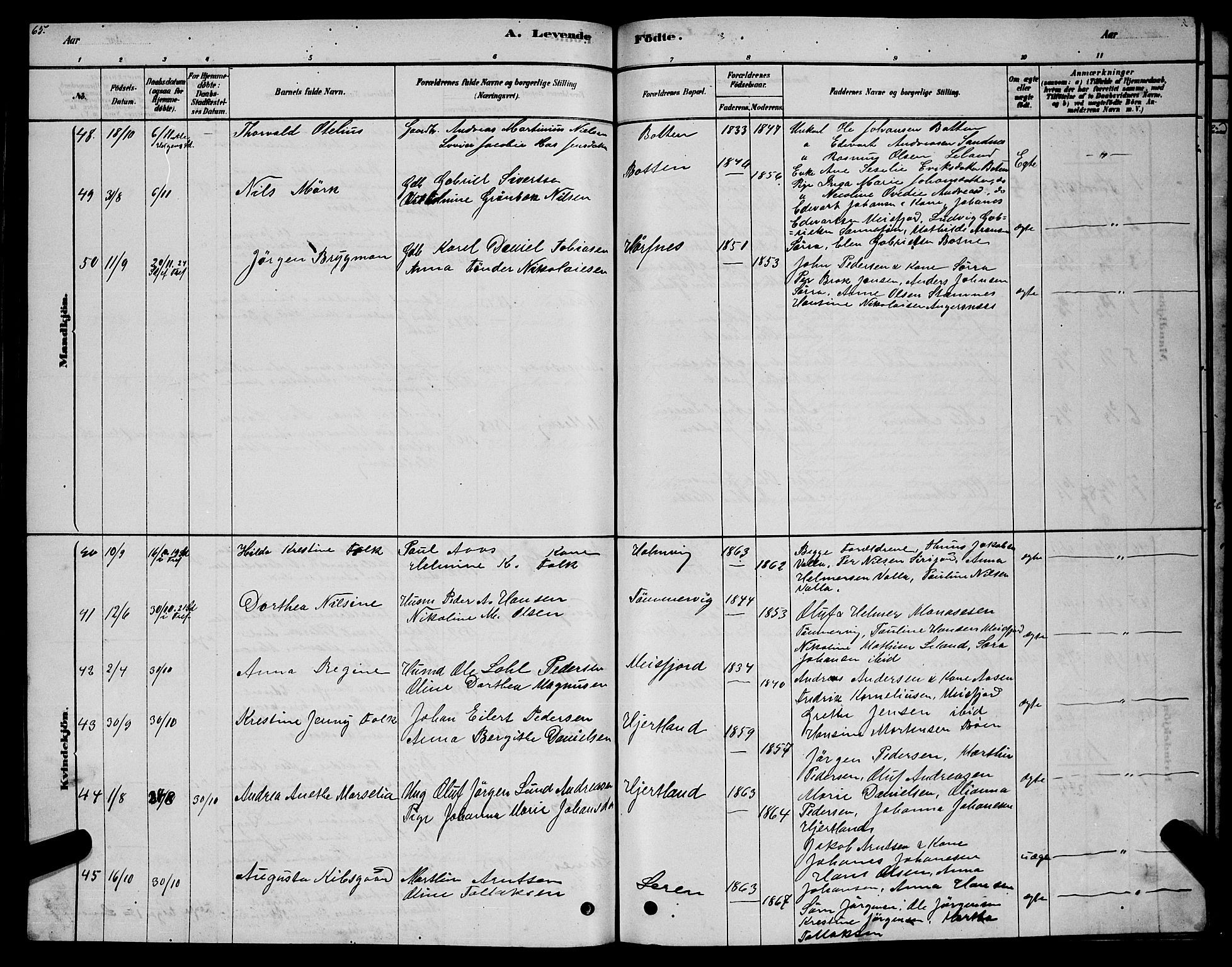 Ministerialprotokoller, klokkerbøker og fødselsregistre - Nordland, AV/SAT-A-1459/831/L0477: Parish register (copy) no. 831C04, 1878-1897, p. 65