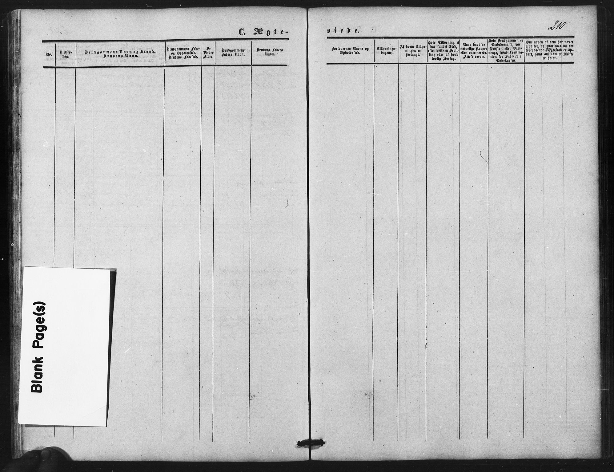 Nes prestekontor Kirkebøker, SAO/A-10410/F/Fb/L0001: Parish register (official) no. II 1, 1859-1882, p. 210