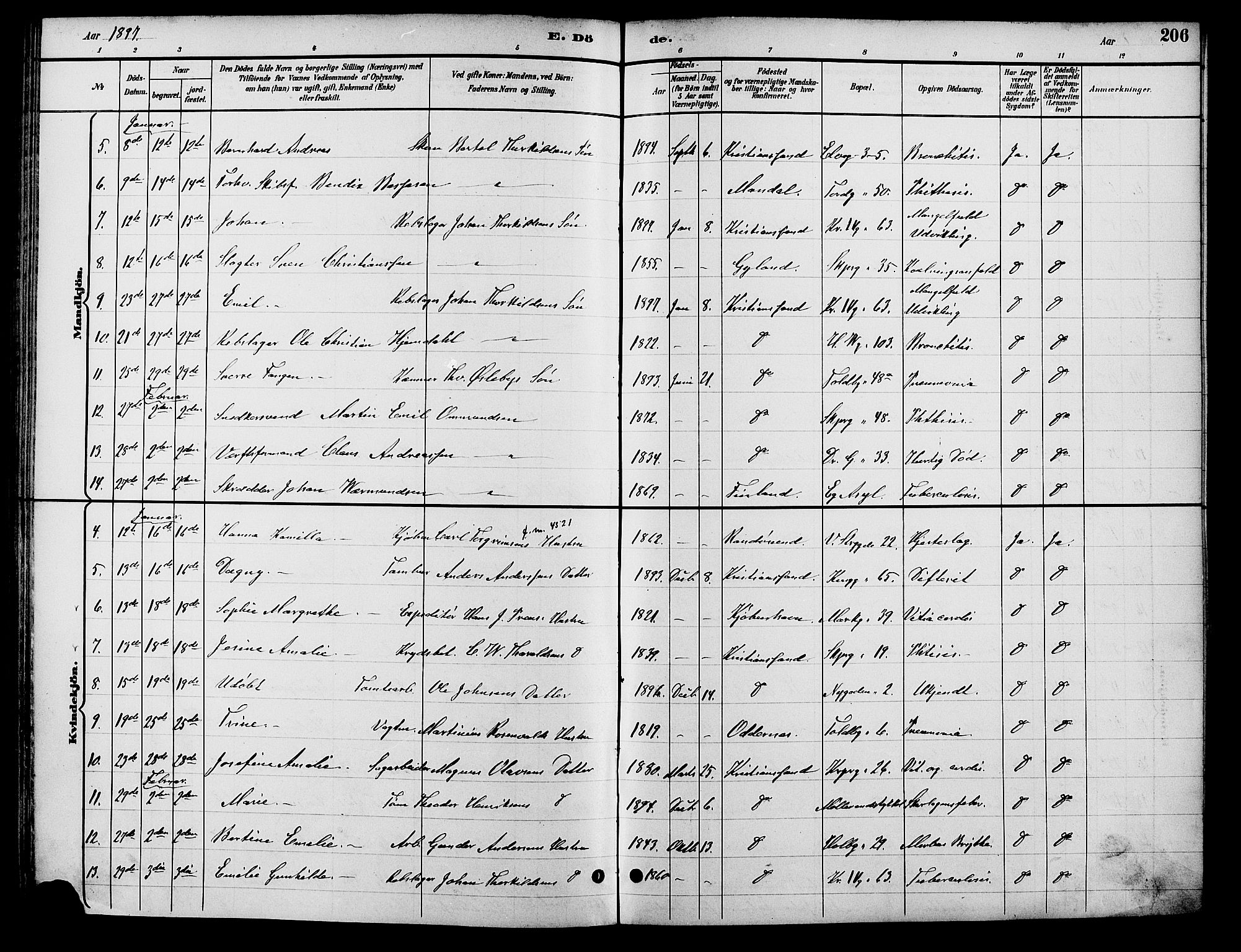 Kristiansand domprosti, SAK/1112-0006/F/Fb/L0017: Parish register (copy) no. B 17, 1893-1906, p. 206