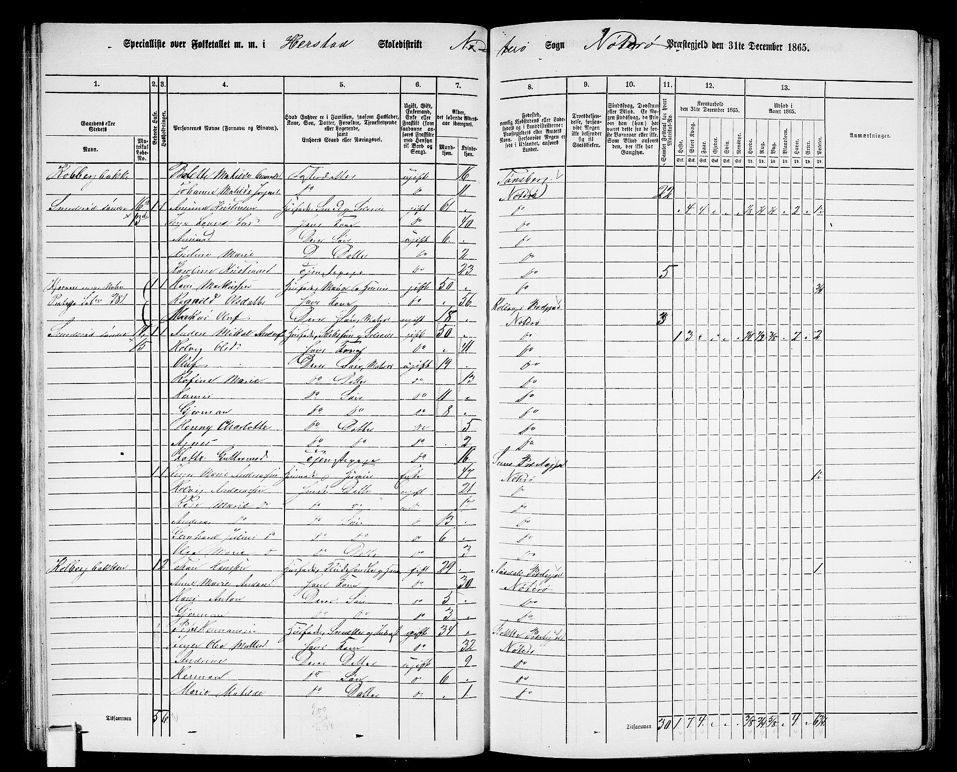 RA, 1865 census for Nøtterøy, 1865, p. 46