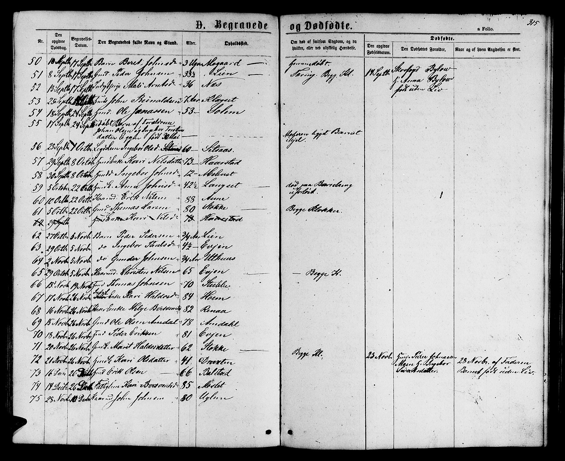 Ministerialprotokoller, klokkerbøker og fødselsregistre - Sør-Trøndelag, SAT/A-1456/695/L1156: Parish register (copy) no. 695C07, 1869-1888, p. 315