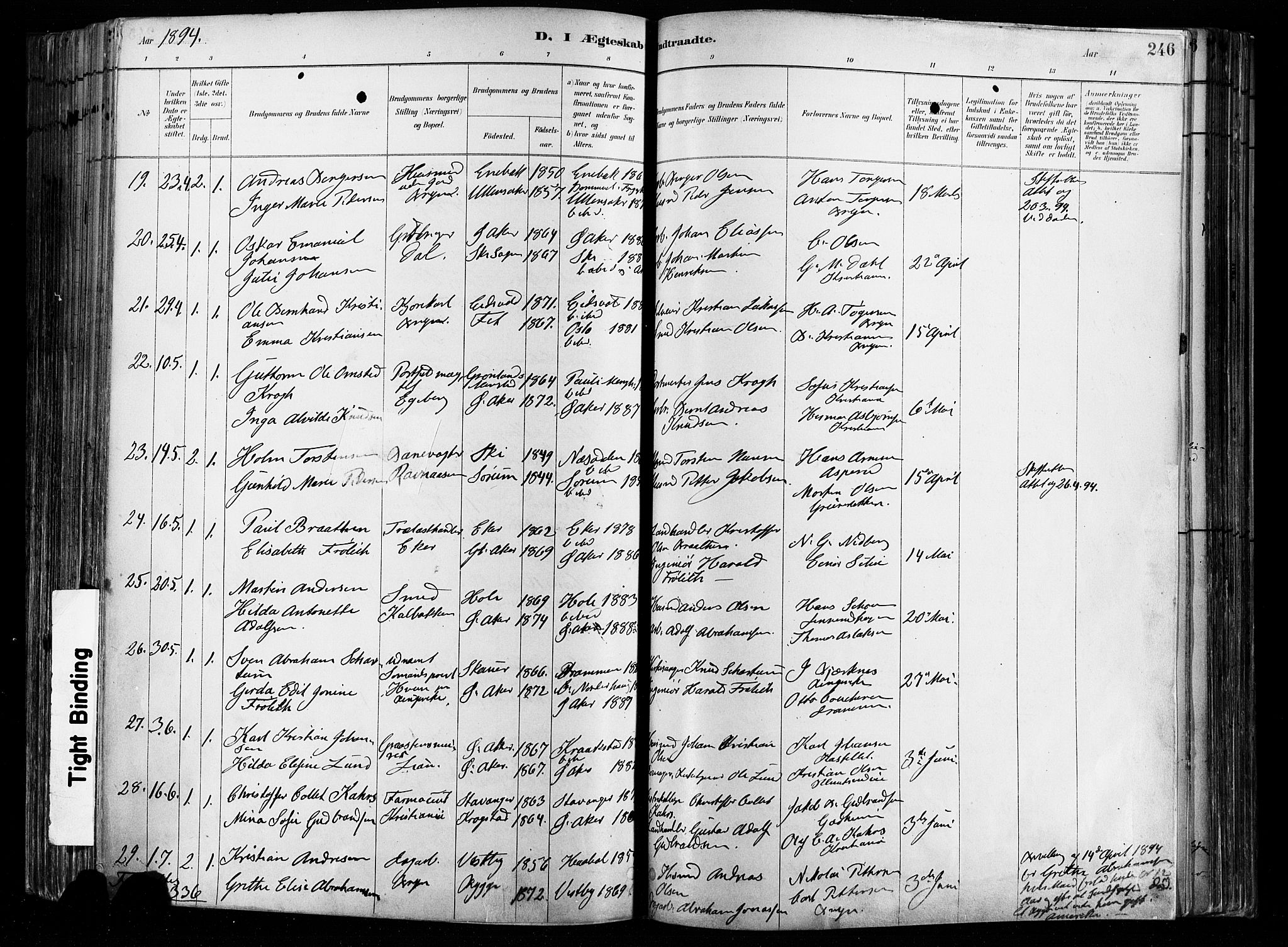 Østre Aker prestekontor Kirkebøker, SAO/A-10840/F/Fa/L0008: Parish register (official) no. I 8, 1883-1894, p. 246