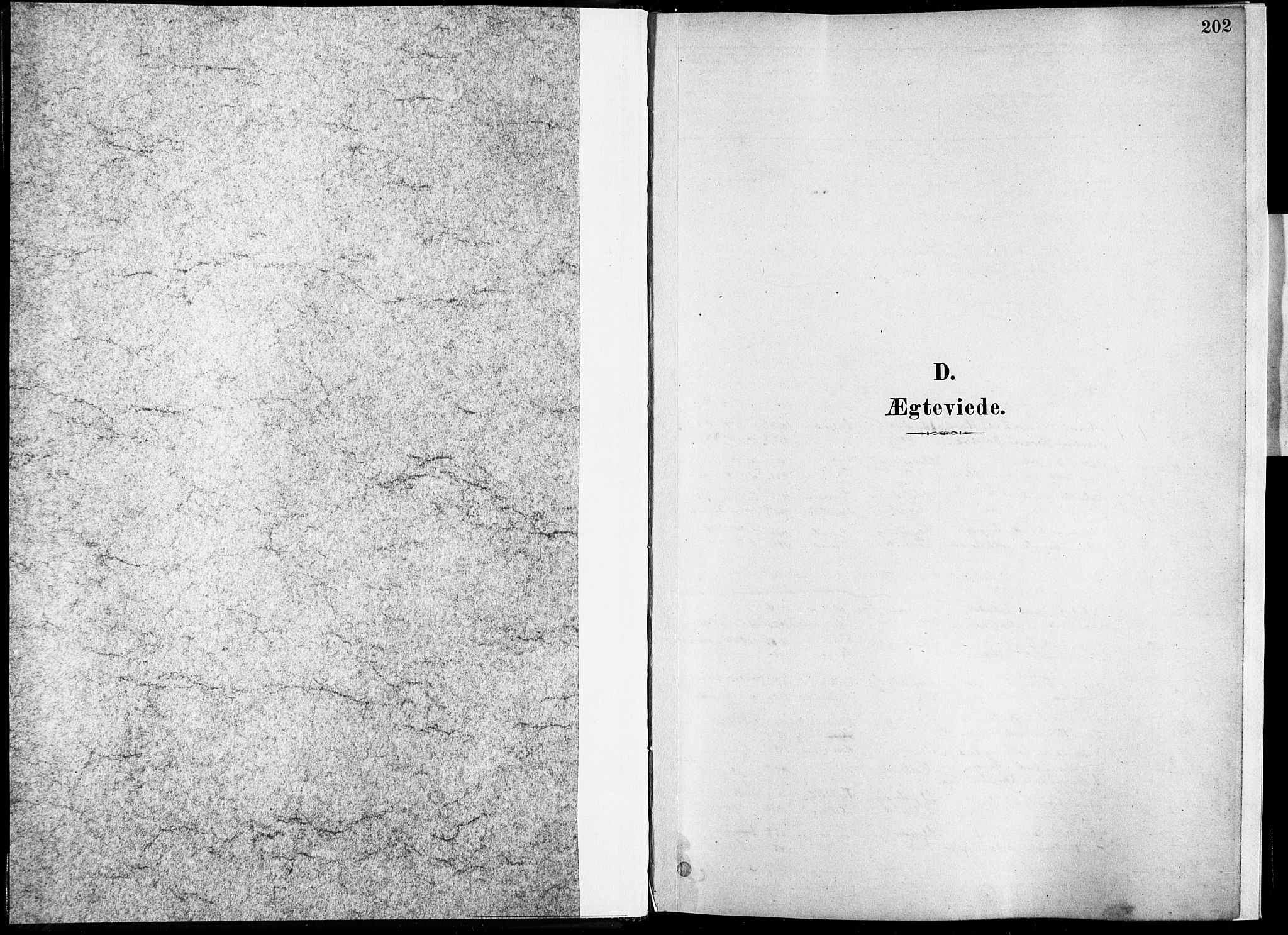 Ministerialprotokoller, klokkerbøker og fødselsregistre - Nordland, SAT/A-1459/835/L0526: Parish register (official) no. 835A03II, 1881-1910, p. 202