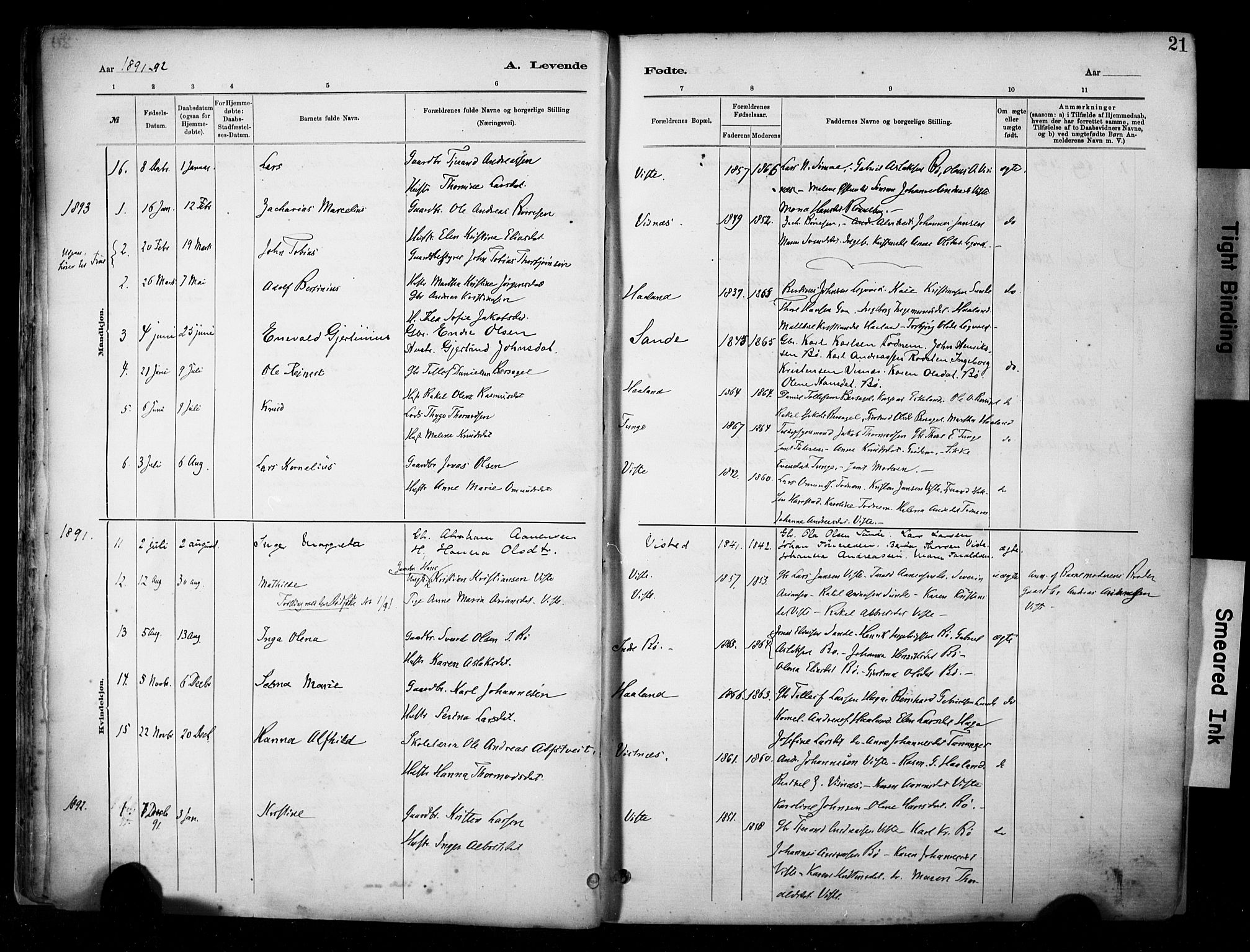 Hetland sokneprestkontor, SAST/A-101826/30/30BA/L0009: Parish register (official) no. A 9, 1882-1918, p. 21