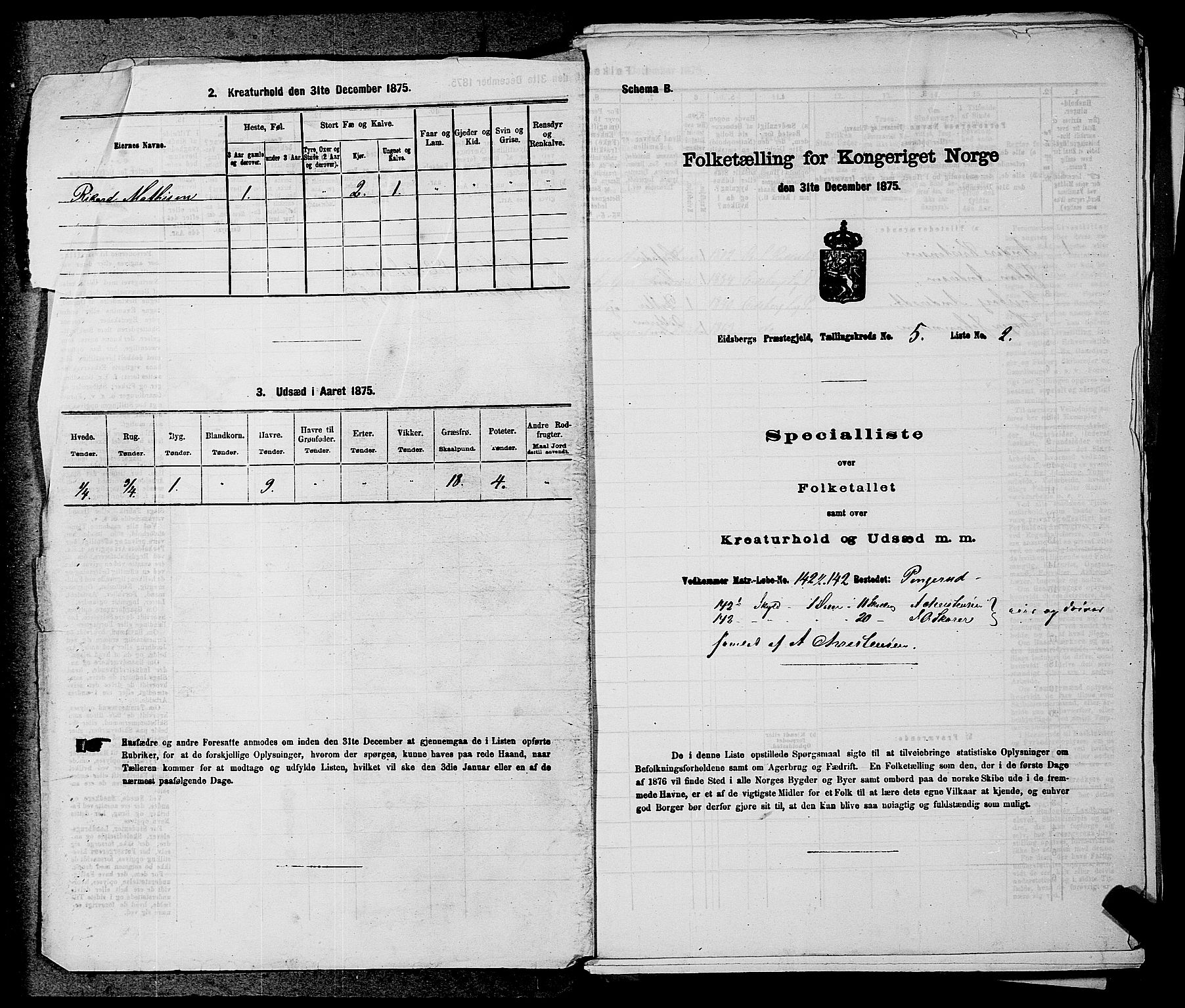 RA, 1875 census for 0125P Eidsberg, 1875, p. 902