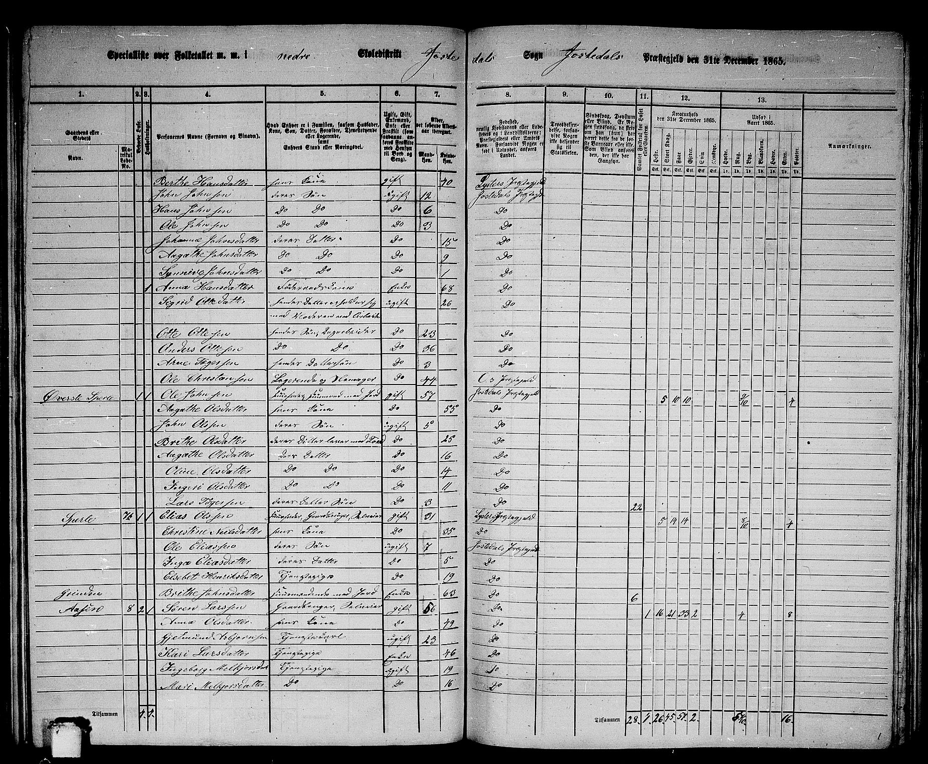 RA, 1865 census for Jostedal, 1865, p. 19