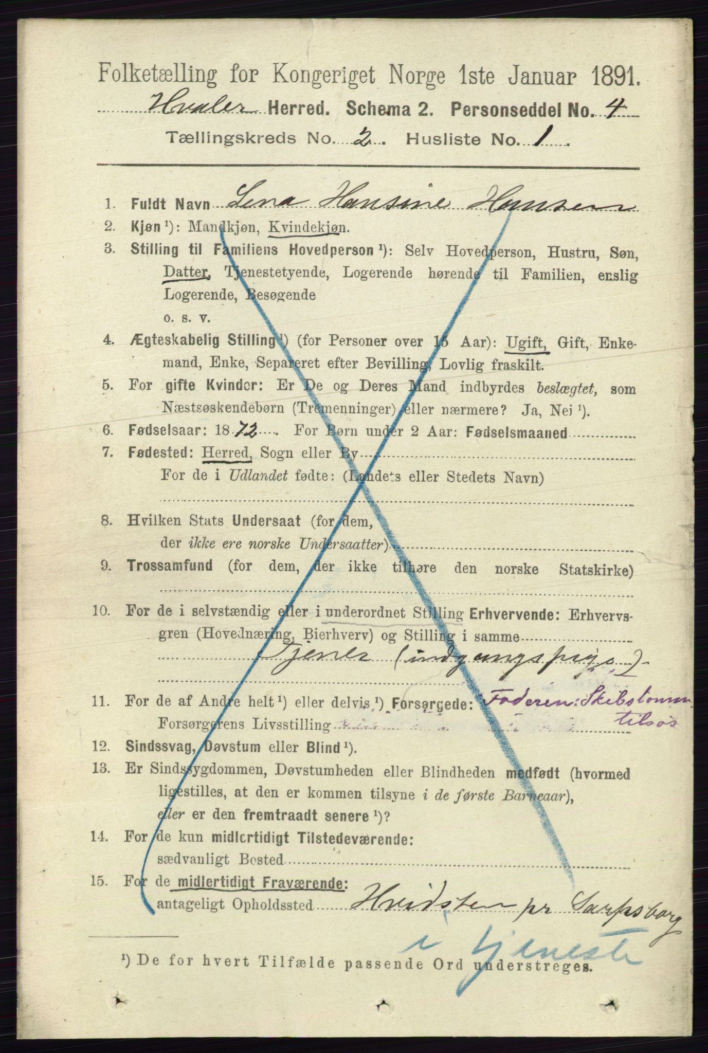 RA, 1891 census for 0111 Hvaler, 1891, p. 1008