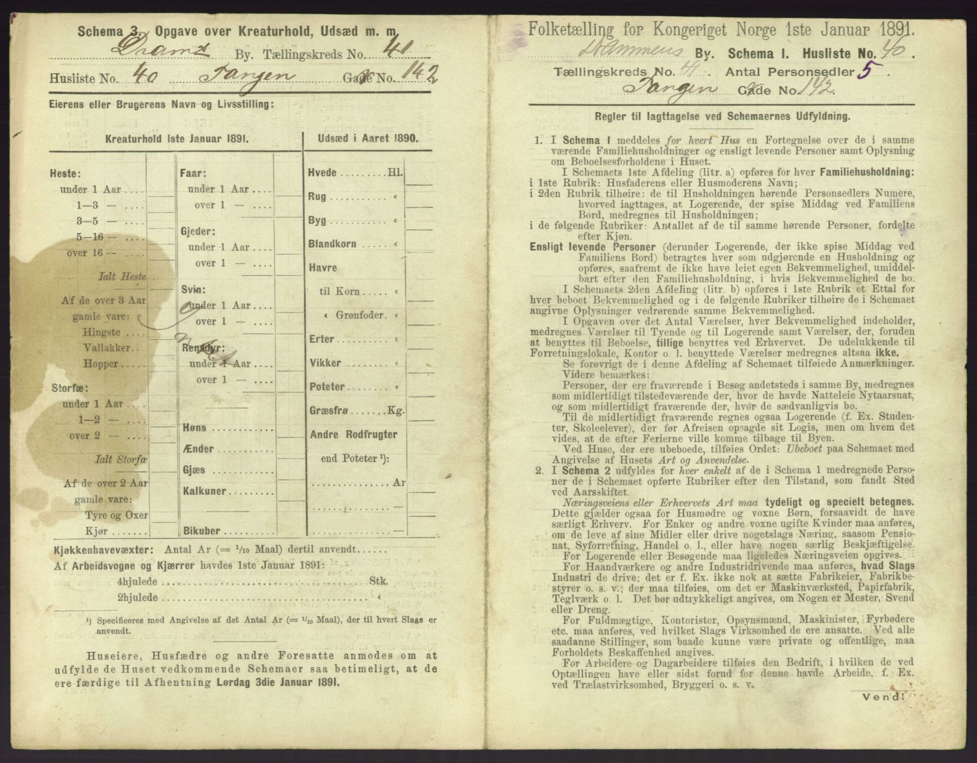 RA, 1891 census for 0602 Drammen, 1891, p. 3713