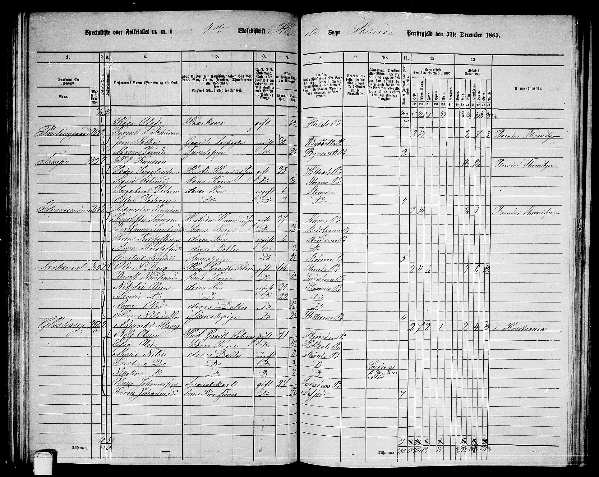 RA, 1865 census for Strinda, 1865, p. 113