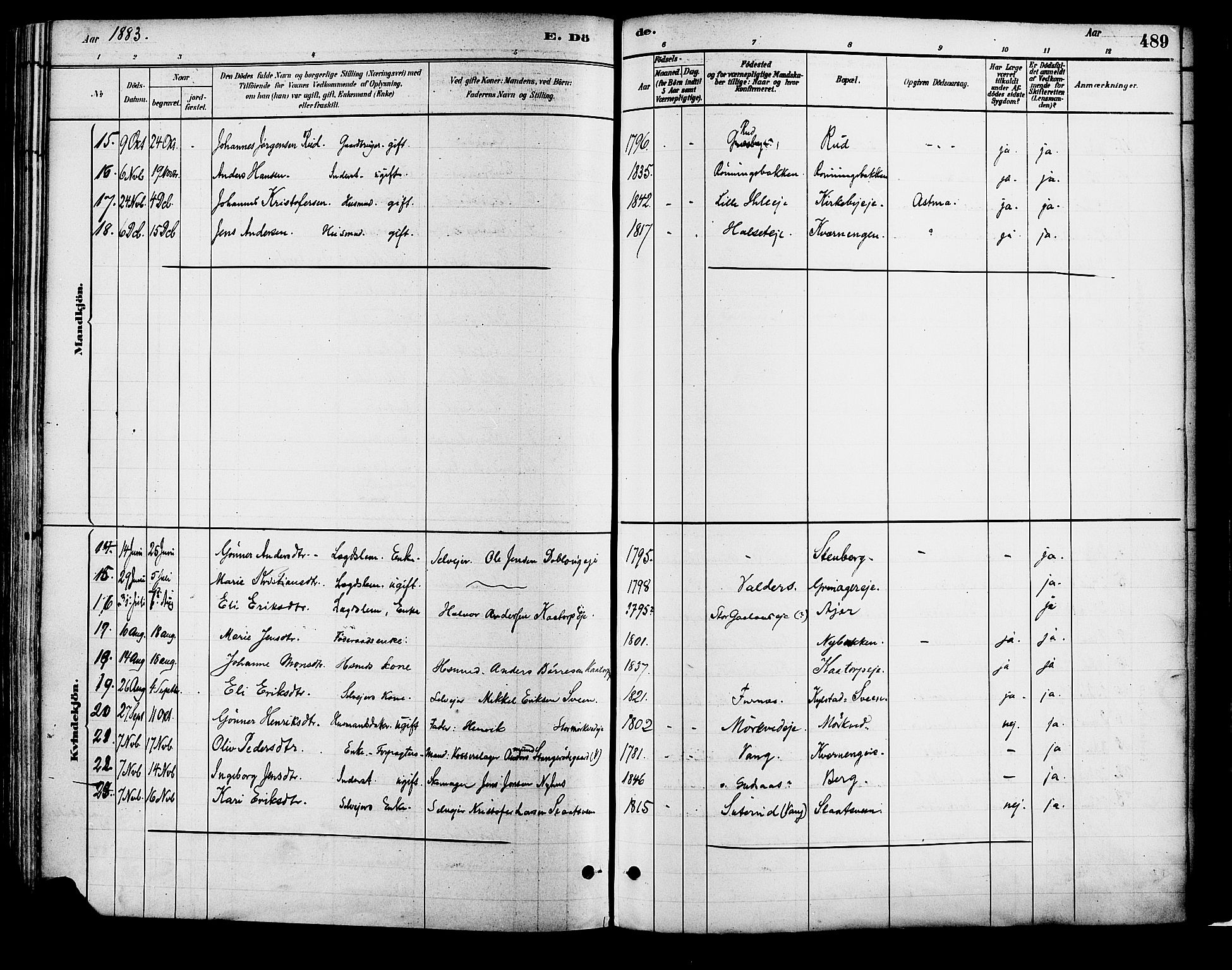 Vang prestekontor, Hedmark, SAH/PREST-008/H/Ha/Haa/L0018B: Parish register (official) no. 18B, 1880-1906, p. 489