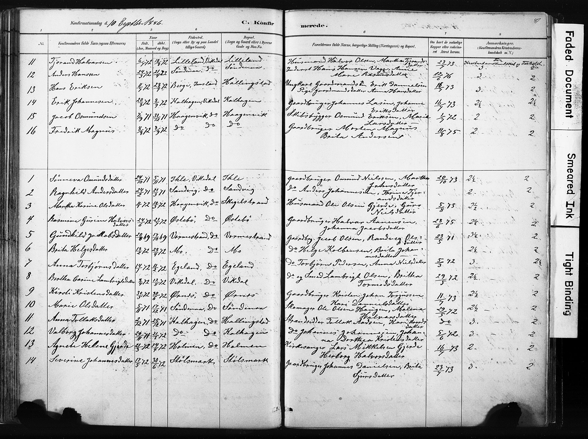 Vikedal sokneprestkontor, SAST/A-101840/01/IV: Parish register (official) no. A 10, 1884-1907, p. 81