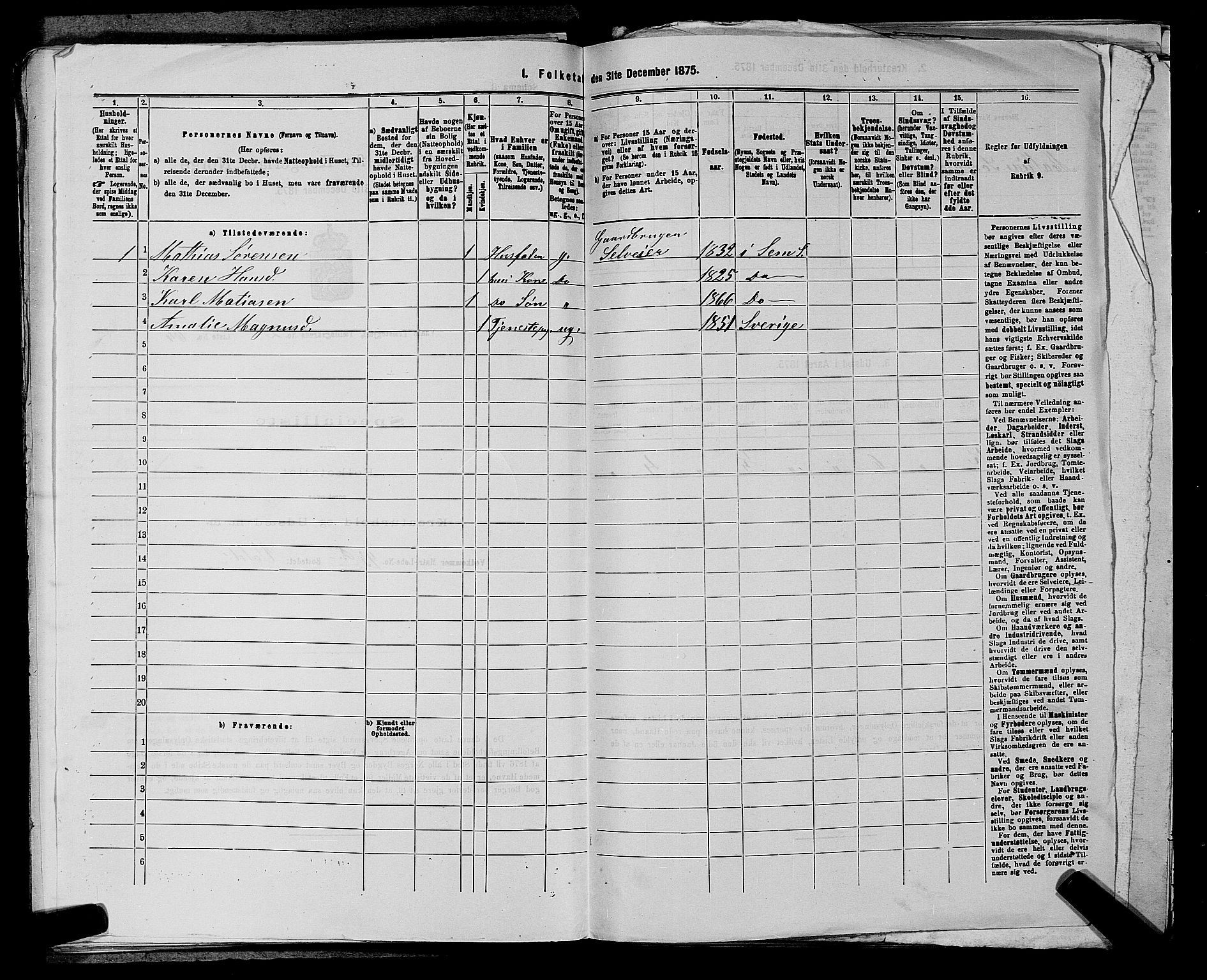 SAKO, 1875 census for 0716P Våle, 1875, p. 356