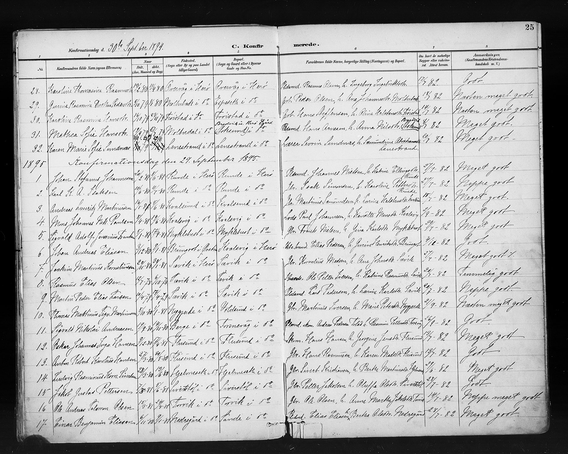 Ministerialprotokoller, klokkerbøker og fødselsregistre - Møre og Romsdal, AV/SAT-A-1454/507/L0074: Parish register (official) no. 507A09, 1894-1900, p. 25