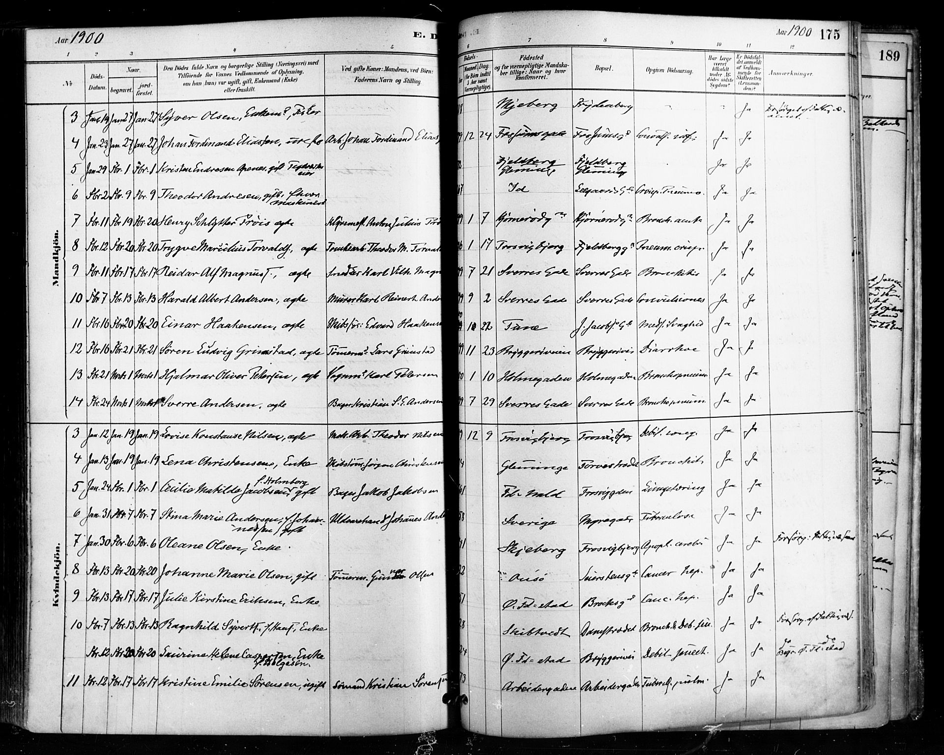 Fredrikstad domkirkes prestekontor Kirkebøker, SAO/A-10906/F/Fa/L0003: Parish register (official) no. 3, 1878-1904, p. 175