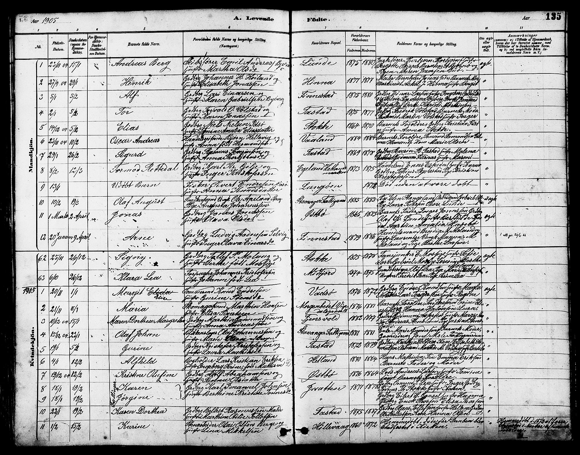 Hetland sokneprestkontor, SAST/A-101826/30/30BB/L0005: Parish register (copy) no. B 5, 1878-1910, p. 135