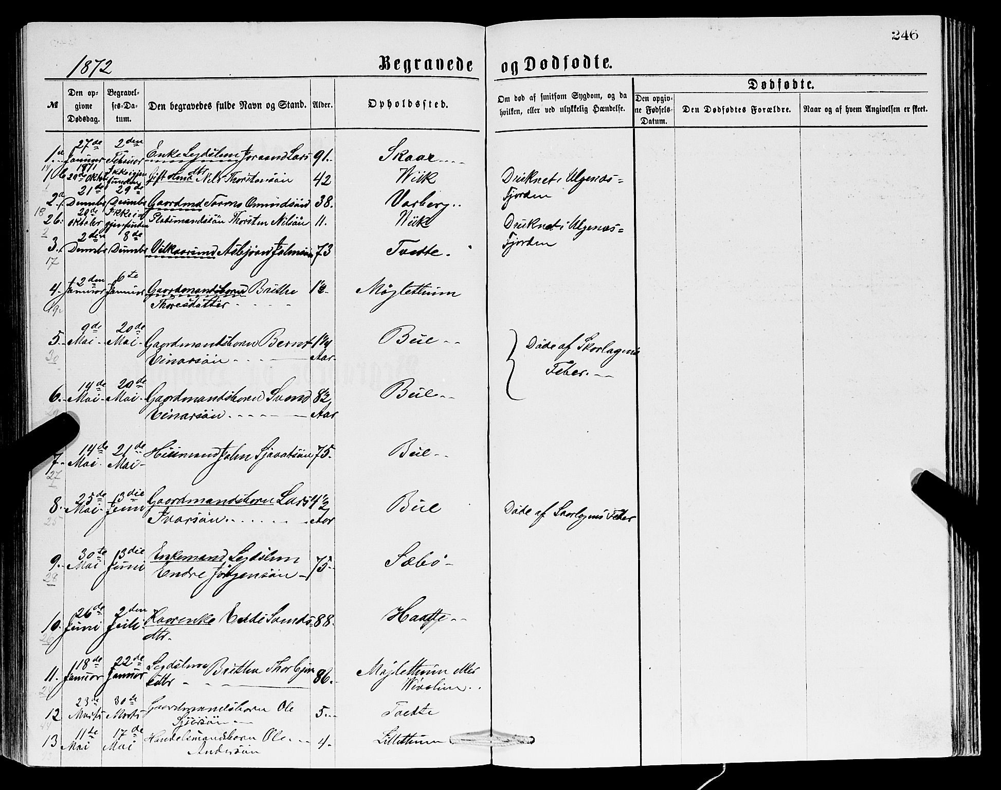 Ullensvang sokneprestembete, SAB/A-78701/H/Hab: Parish register (copy) no. C 2, 1871-1899, p. 246