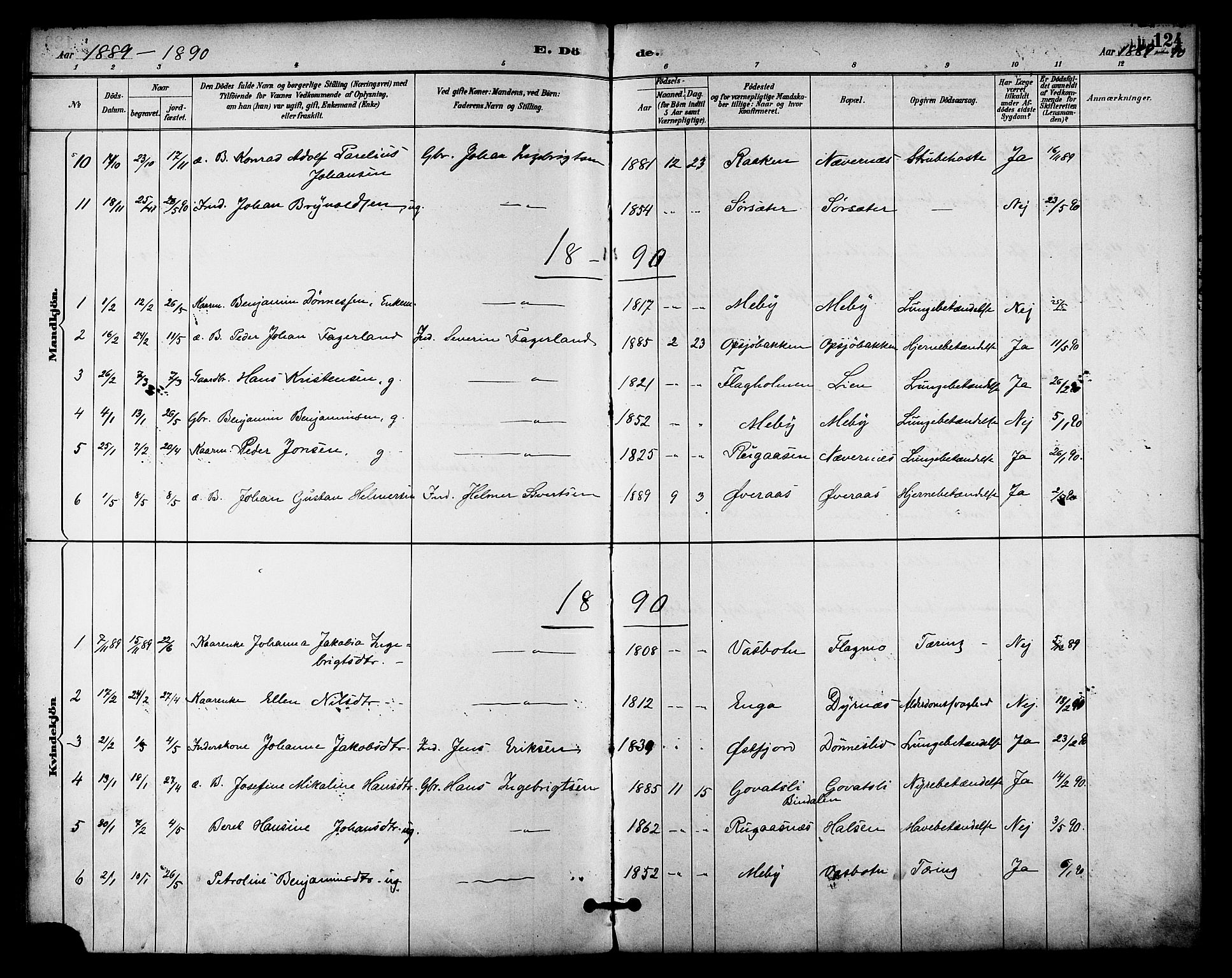 Ministerialprotokoller, klokkerbøker og fødselsregistre - Nordland, AV/SAT-A-1459/814/L0226: Parish register (official) no. 814A07, 1886-1898, p. 124