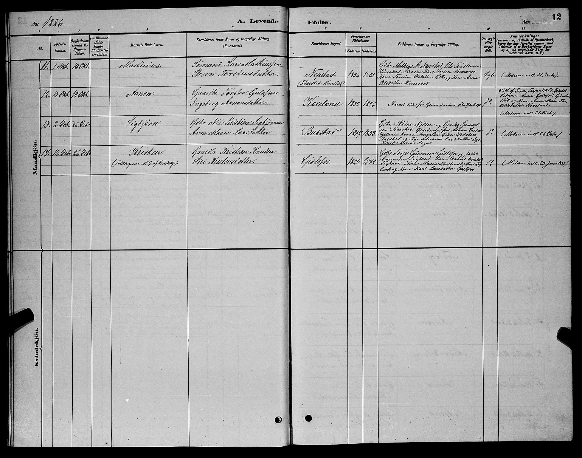 Nord-Audnedal sokneprestkontor, SAK/1111-0032/F/Fb/Fba/L0003: Parish register (copy) no. B 3, 1881-1900, p. 12