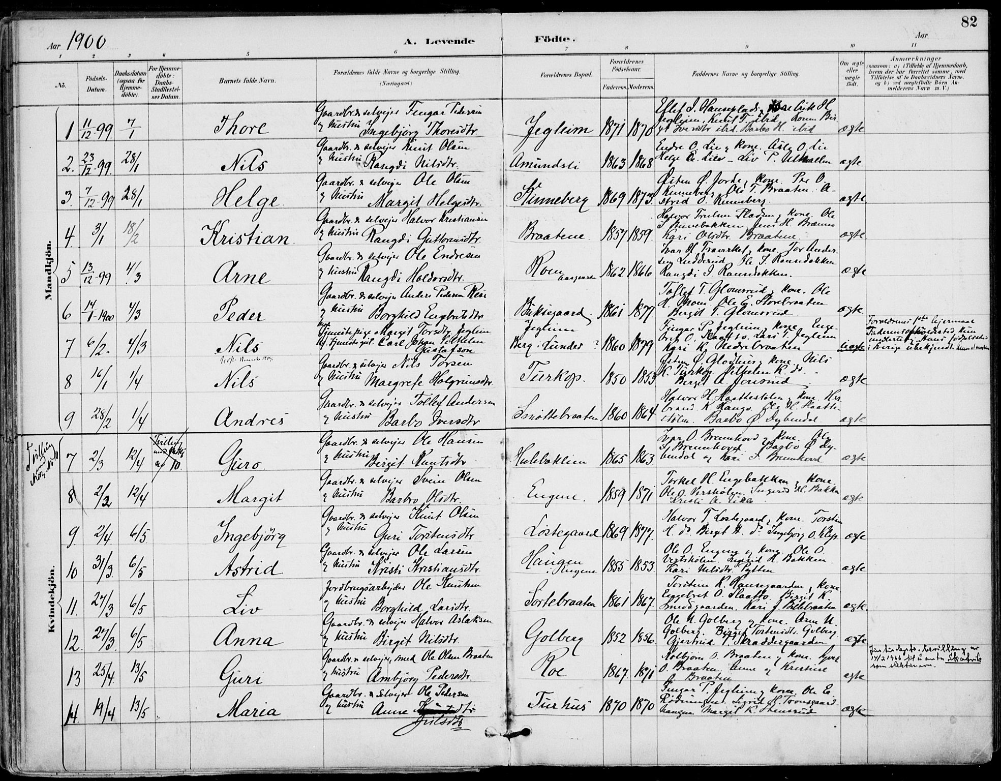 Gol kirkebøker, AV/SAKO-A-226/F/Fa/L0005: Parish register (official) no. I 5, 1887-1900, p. 82