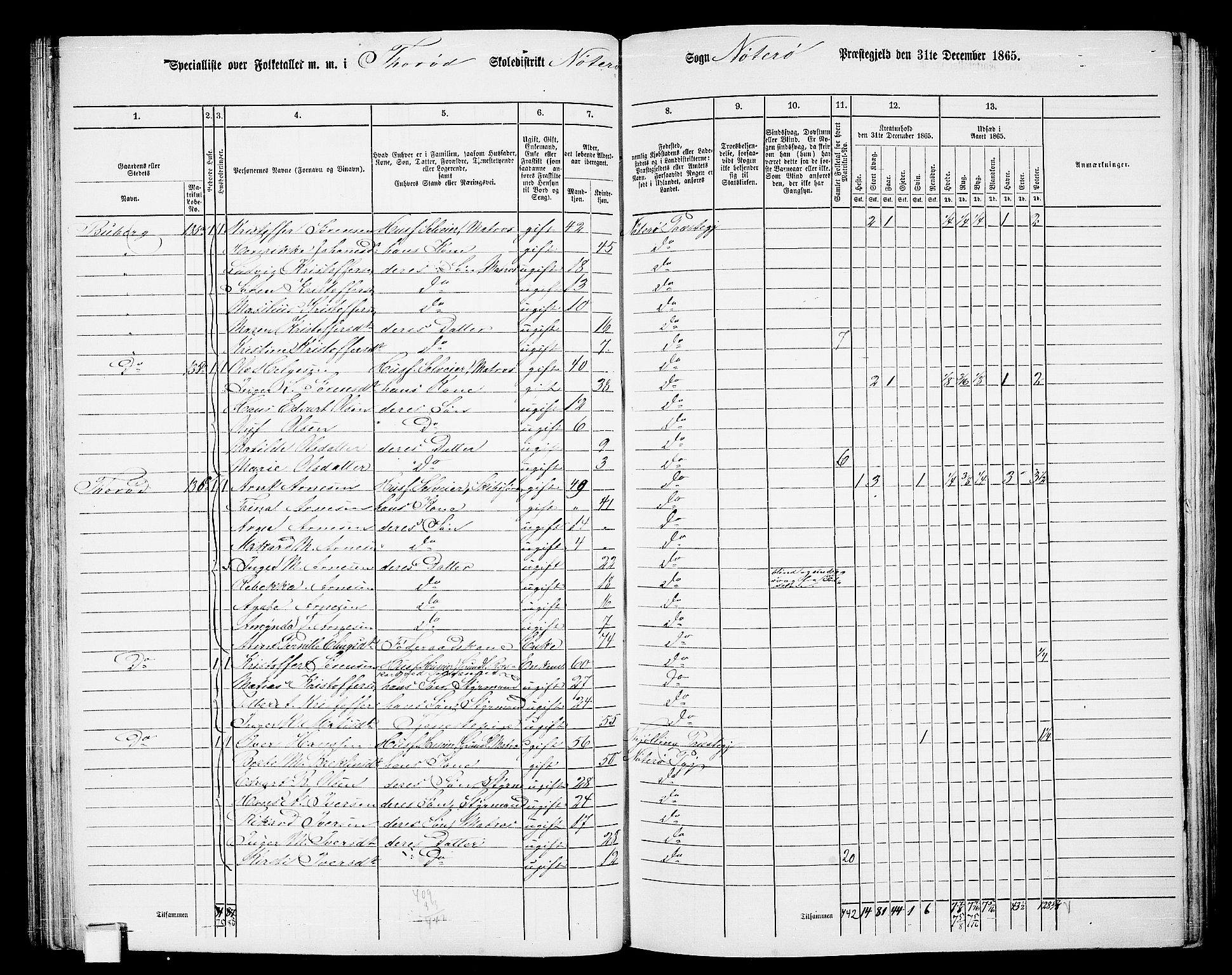 RA, 1865 census for Nøtterøy, 1865, p. 107